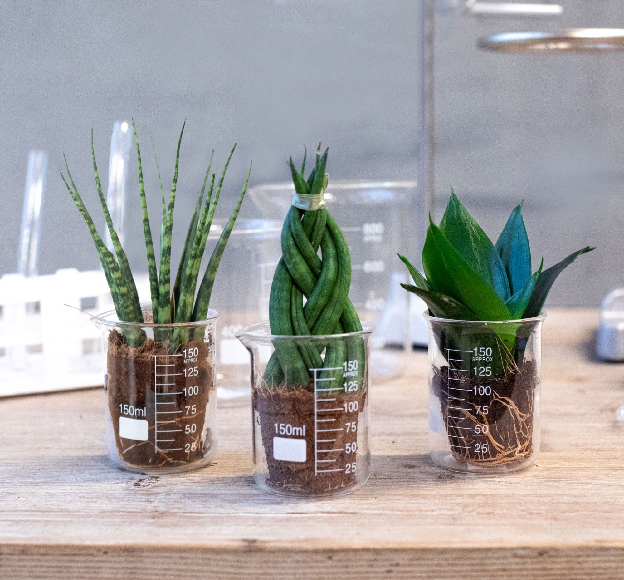 Lab Glass Creation, D 7