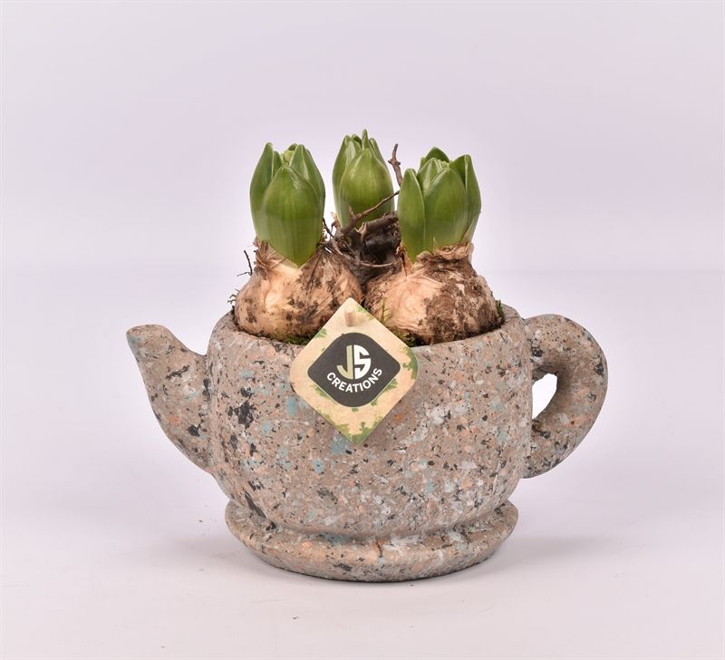 Cement theepot 22cm, D 22