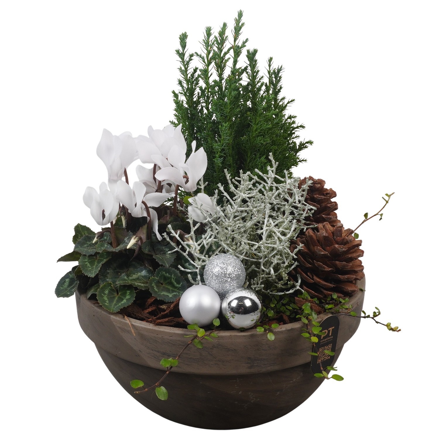 PTCHO5457 Arrangement Christmas Outdoor in terracotta schaal, D 23