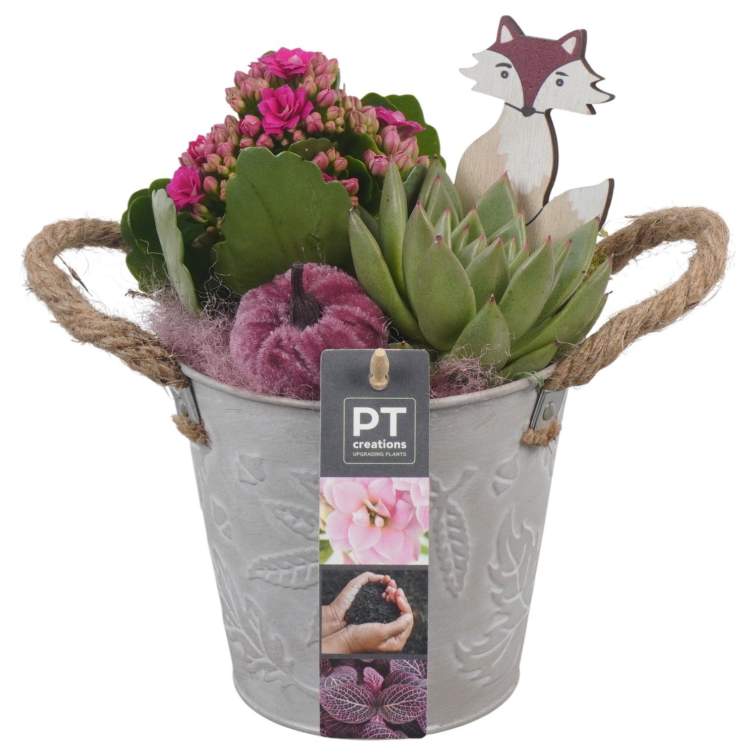 PTHI5334 Arrangement Herfst Indoor in metalen bak, D 12 cm PTHI5334 Arrangement Herfst Indoor in metalen bak, D 12 cm