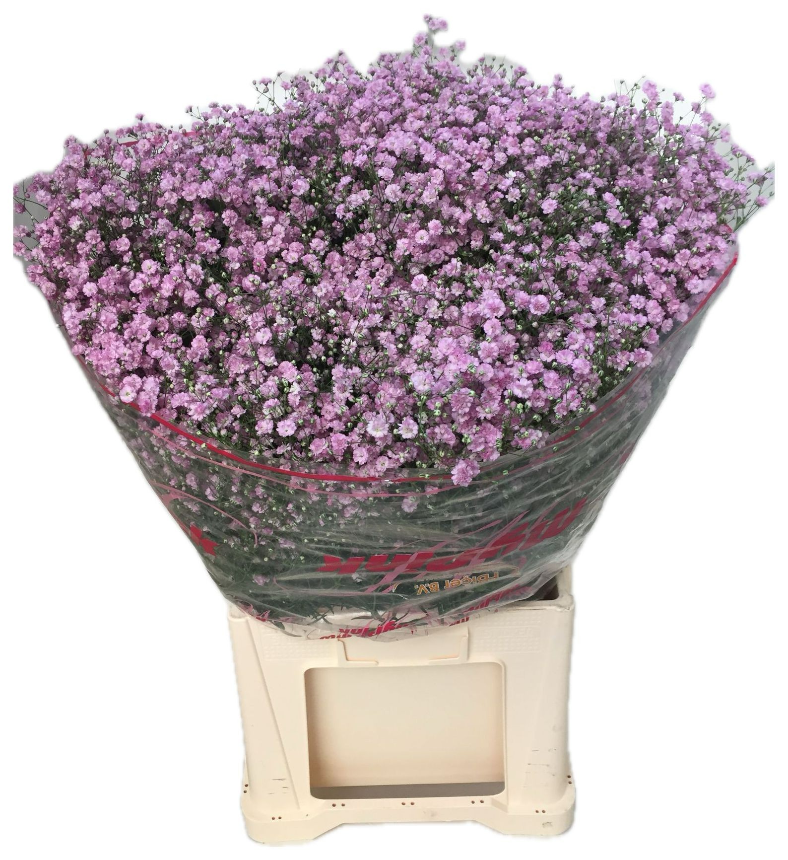 Гипсофила Май Пинк 75, шт.