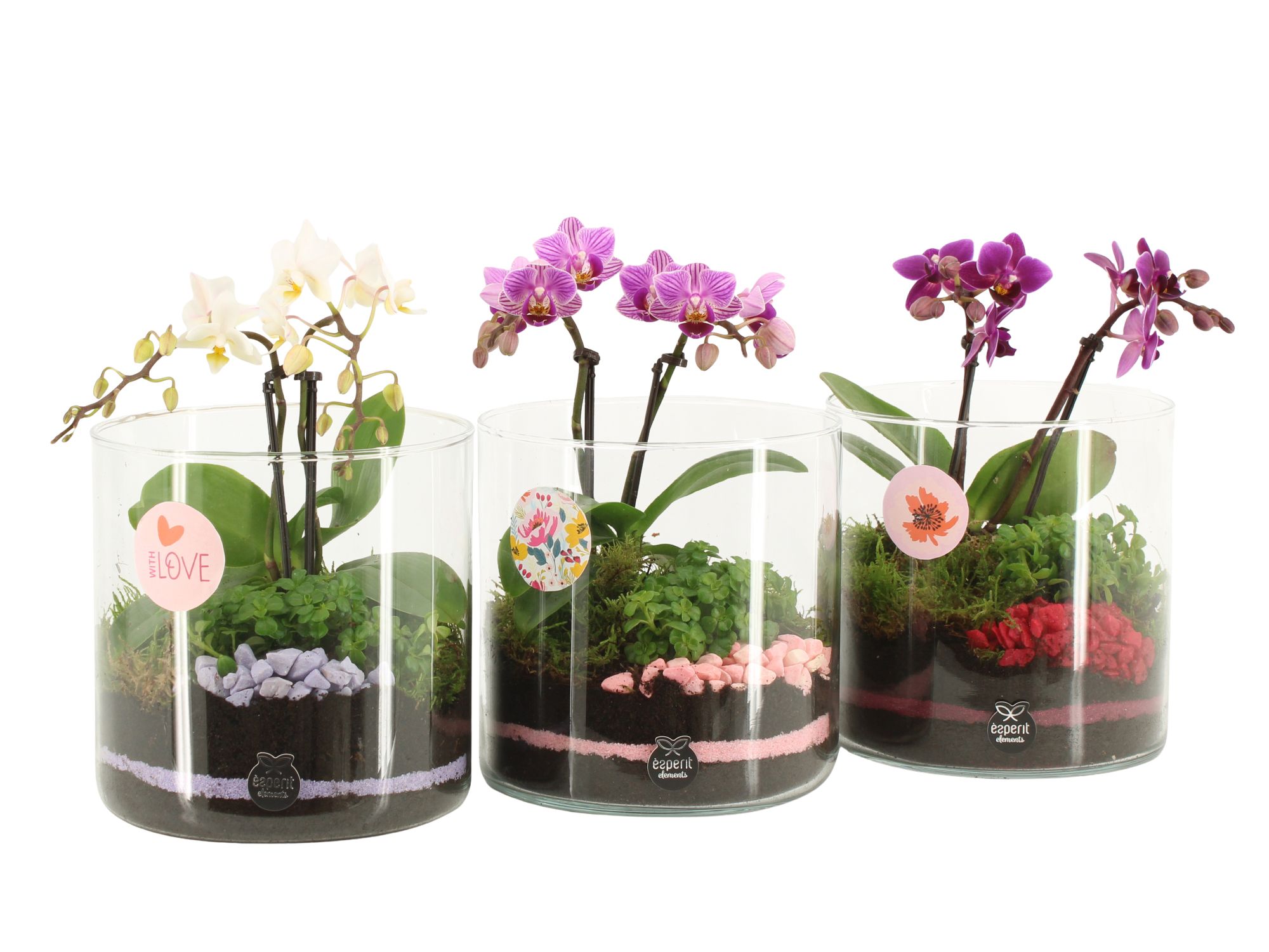 21877: Lovess arrangement, D 15