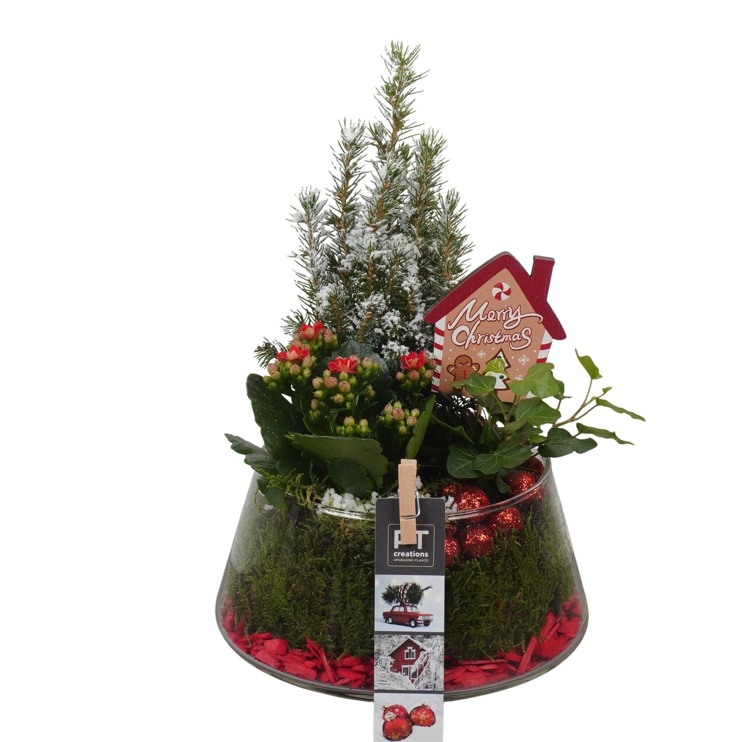 PTCHR7473 Arrangement Christmas Red in glazen pot, D 18 cm