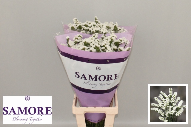 Статица Сильвери Сан Бердс 80 (бел.), шт.