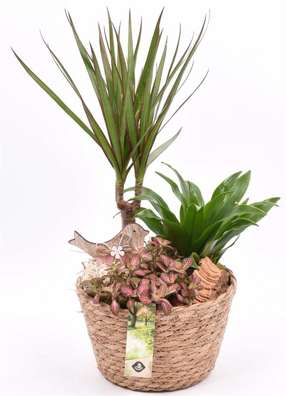 Touwmand naturel 18cm, D 18