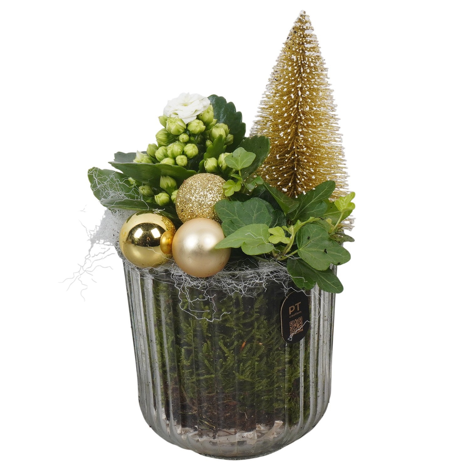 PTCHG4602 Arrangement Christmas Gold in glazen vaas, D 12