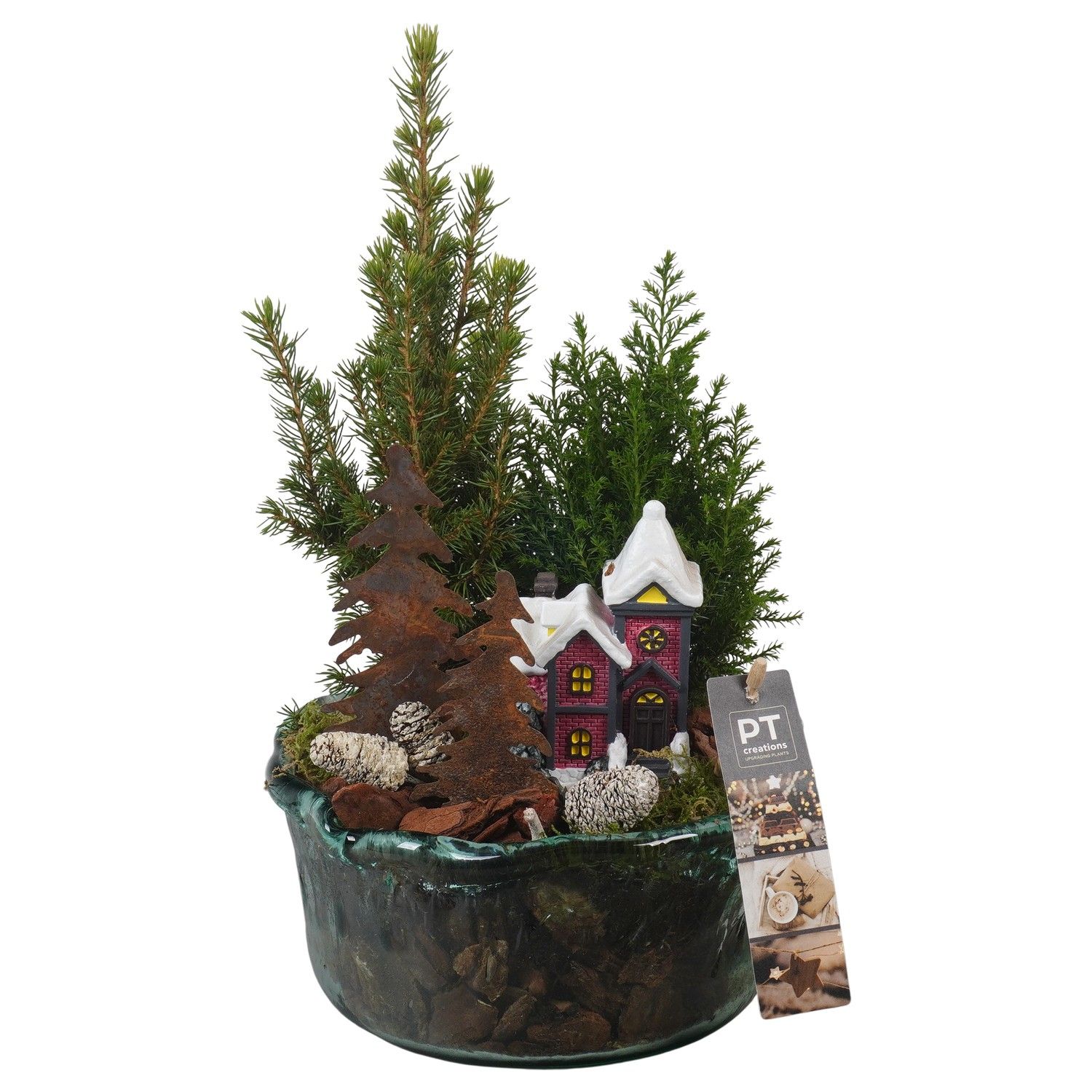 PTCWW6830 Arrangement Winter in glas schaal, D 18 cm