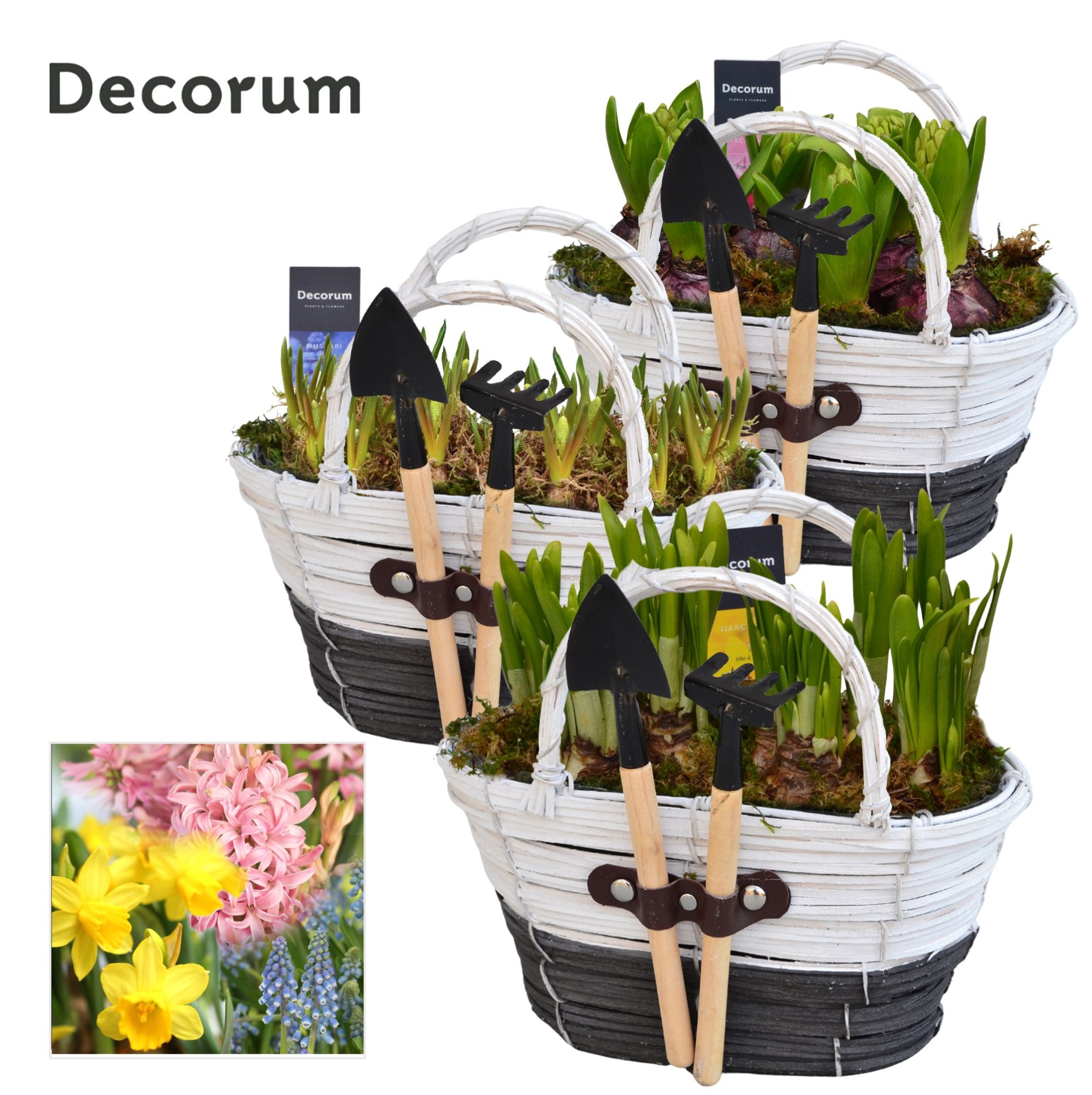 Bollenmix Mand Gereedschap HL14683B, D 21