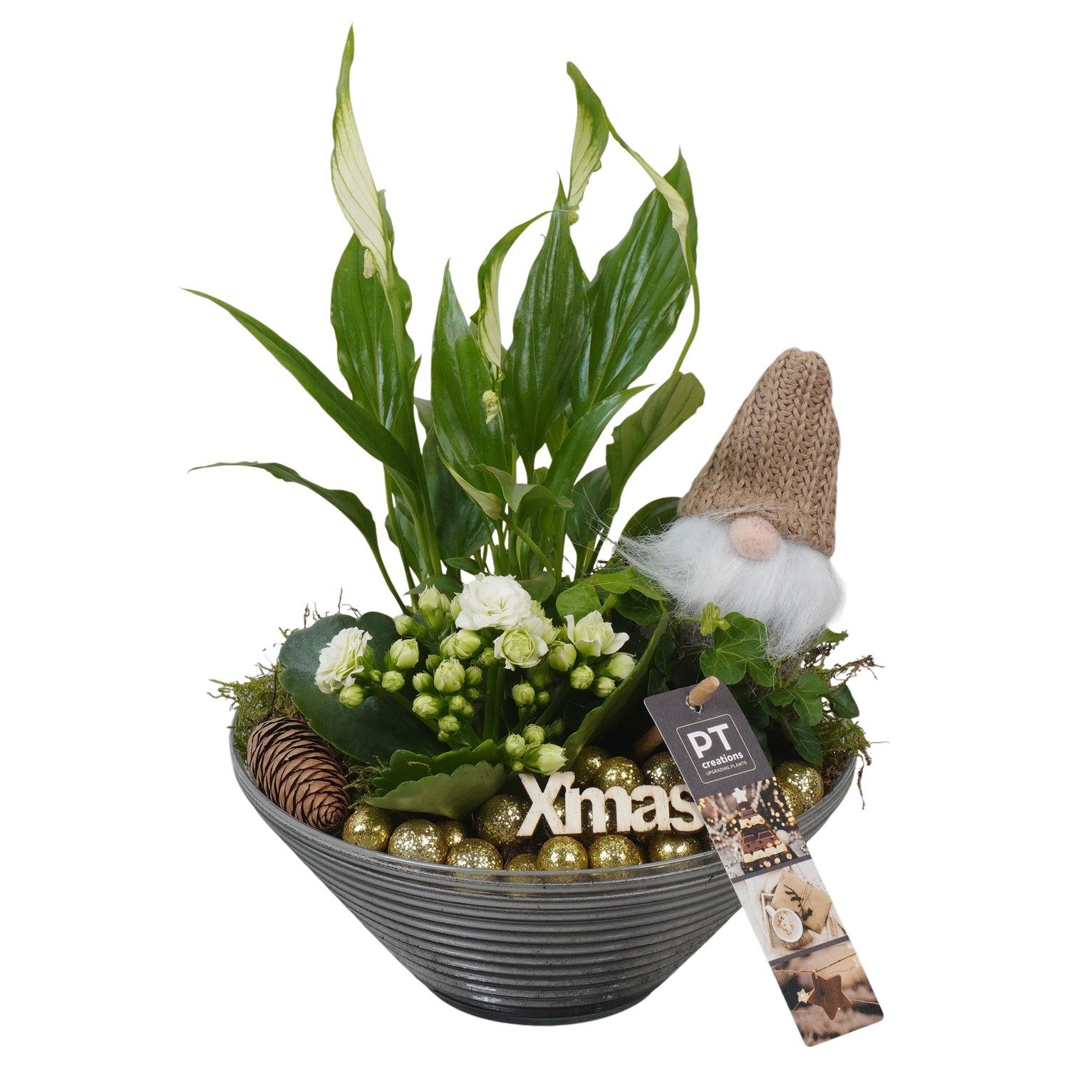 PTCHG5716 Arrangement Christmas Gold in glas schaal, D 19 cm