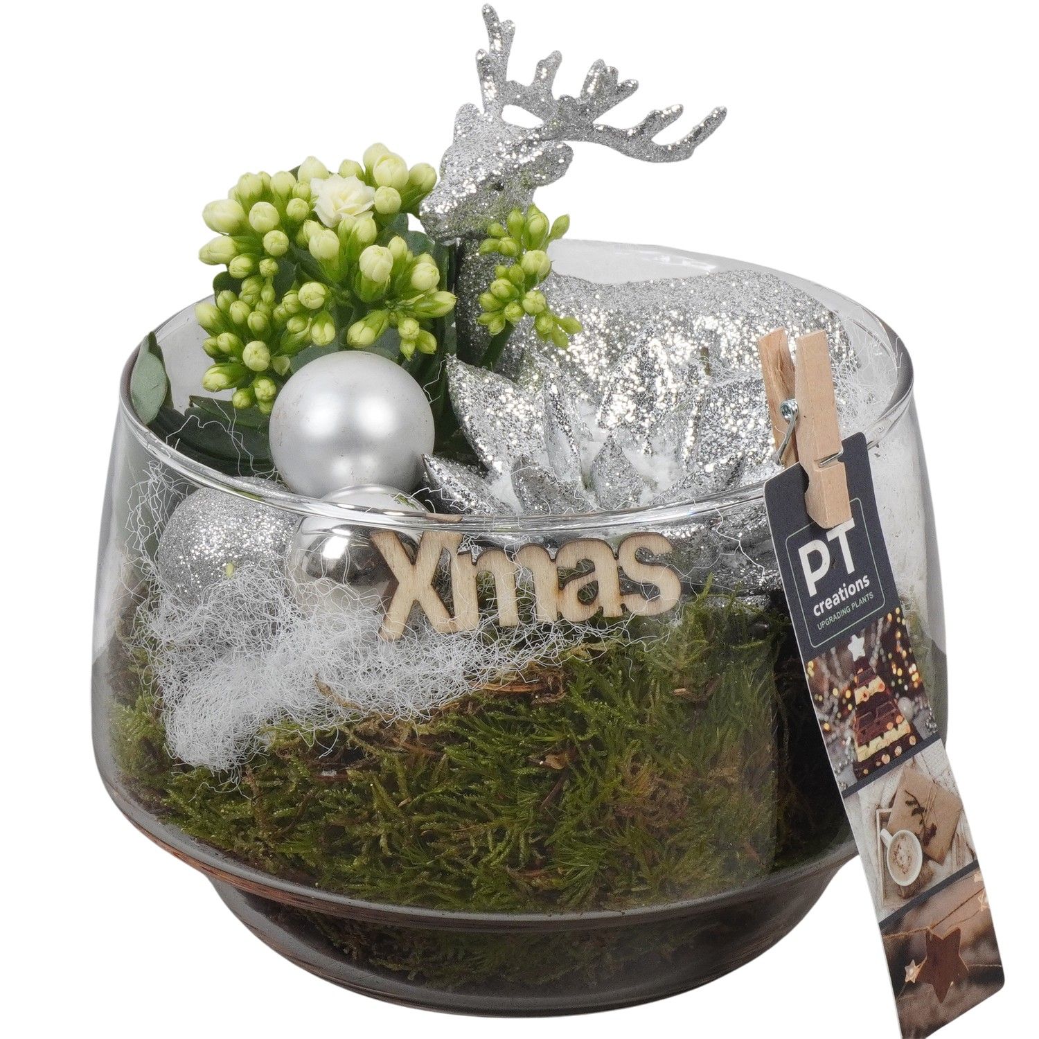 PTCHW4382 Arrangement Christmas White in glazen pot, D 17 cm