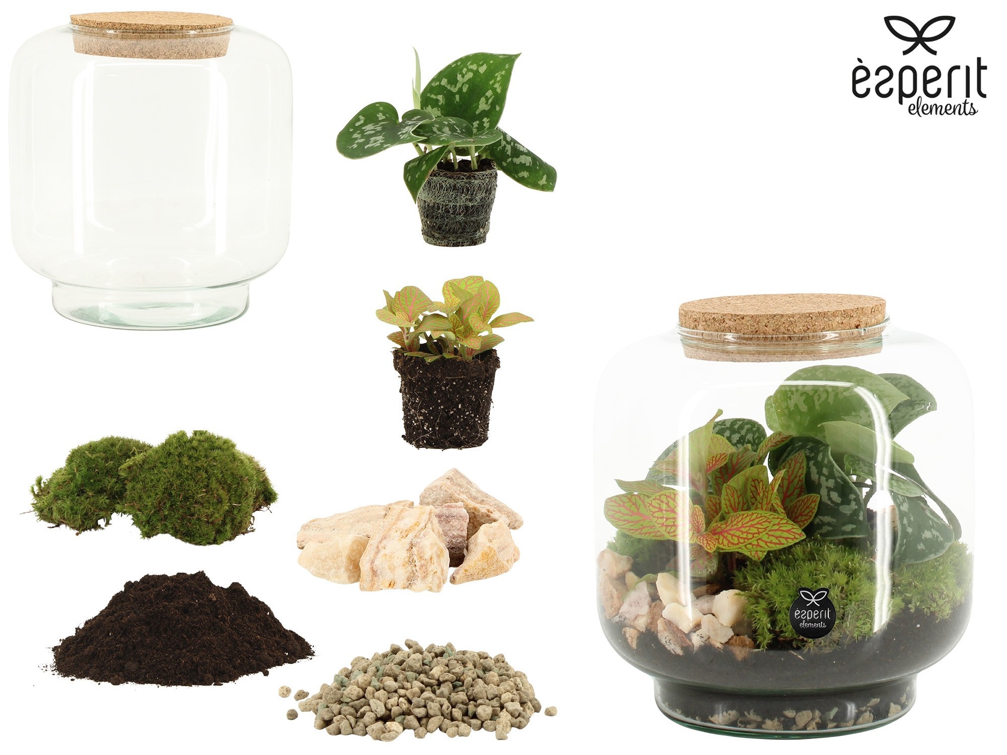 90861: DIY Terrarium arrangement, D 17