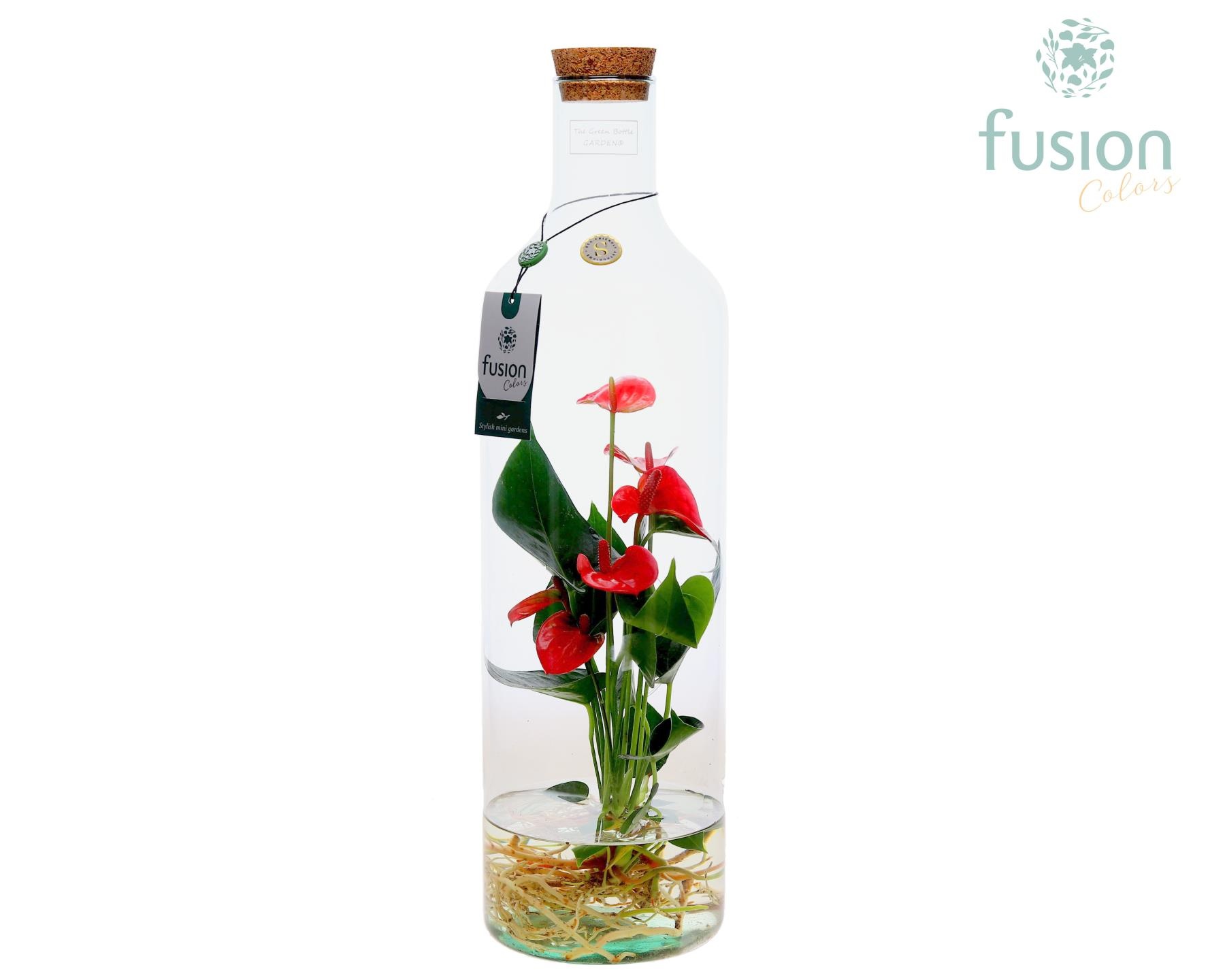 Green Bottle Fles Large met Anthurium, D 15