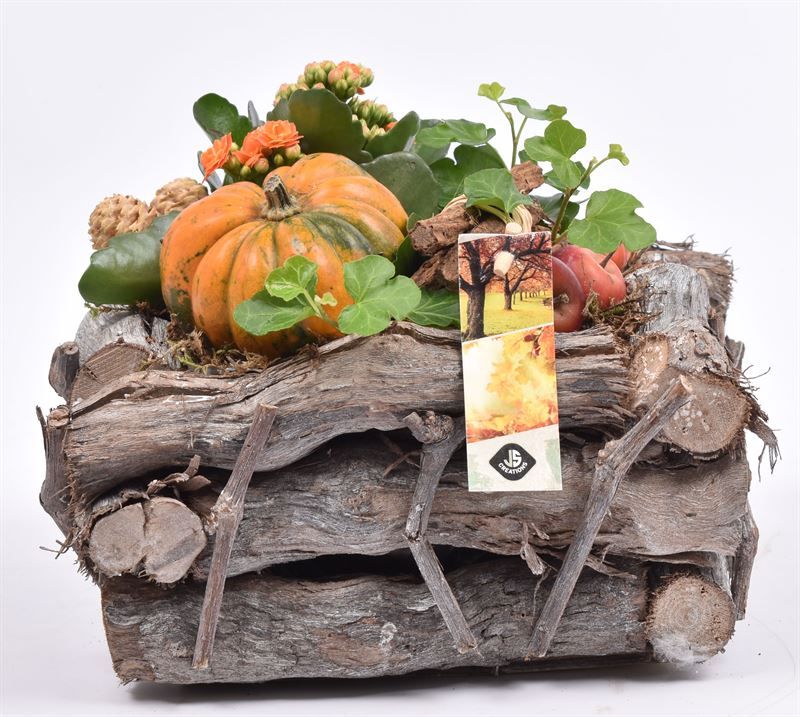 Natuur druivenhout 23x23cm, D 23 cm