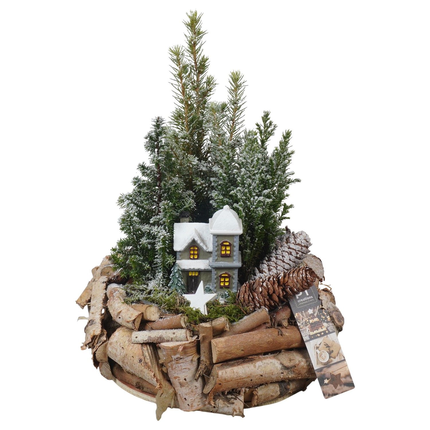 PTCWW6869 Arrangement Winter in houten bak, D 23 cm