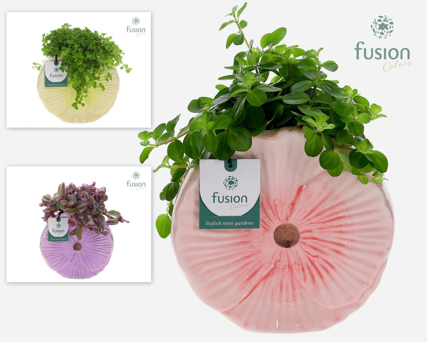 Keramiek Medium pot met groen planten mix, D 18