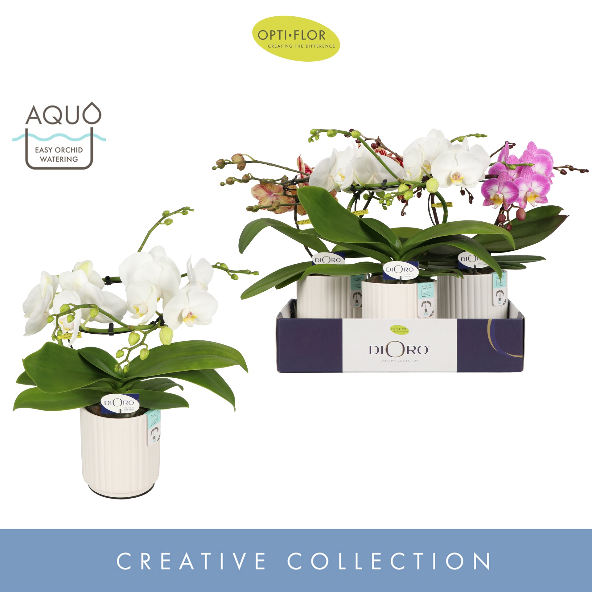 Dioro Mix 2 spike in Molise White Aquo, D 12 cm