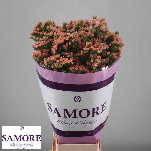 Статица Роял Оранж 60, шт.