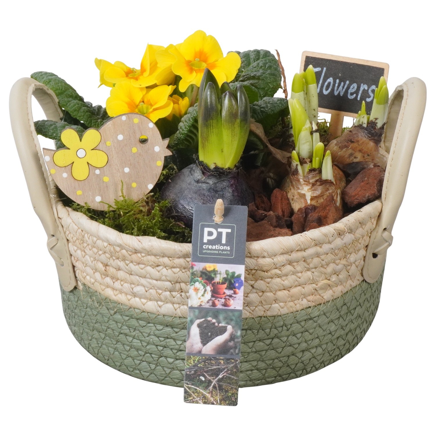 PTBM3825 Arrangement Flower Bulbs Mix in rieten mand, D 21