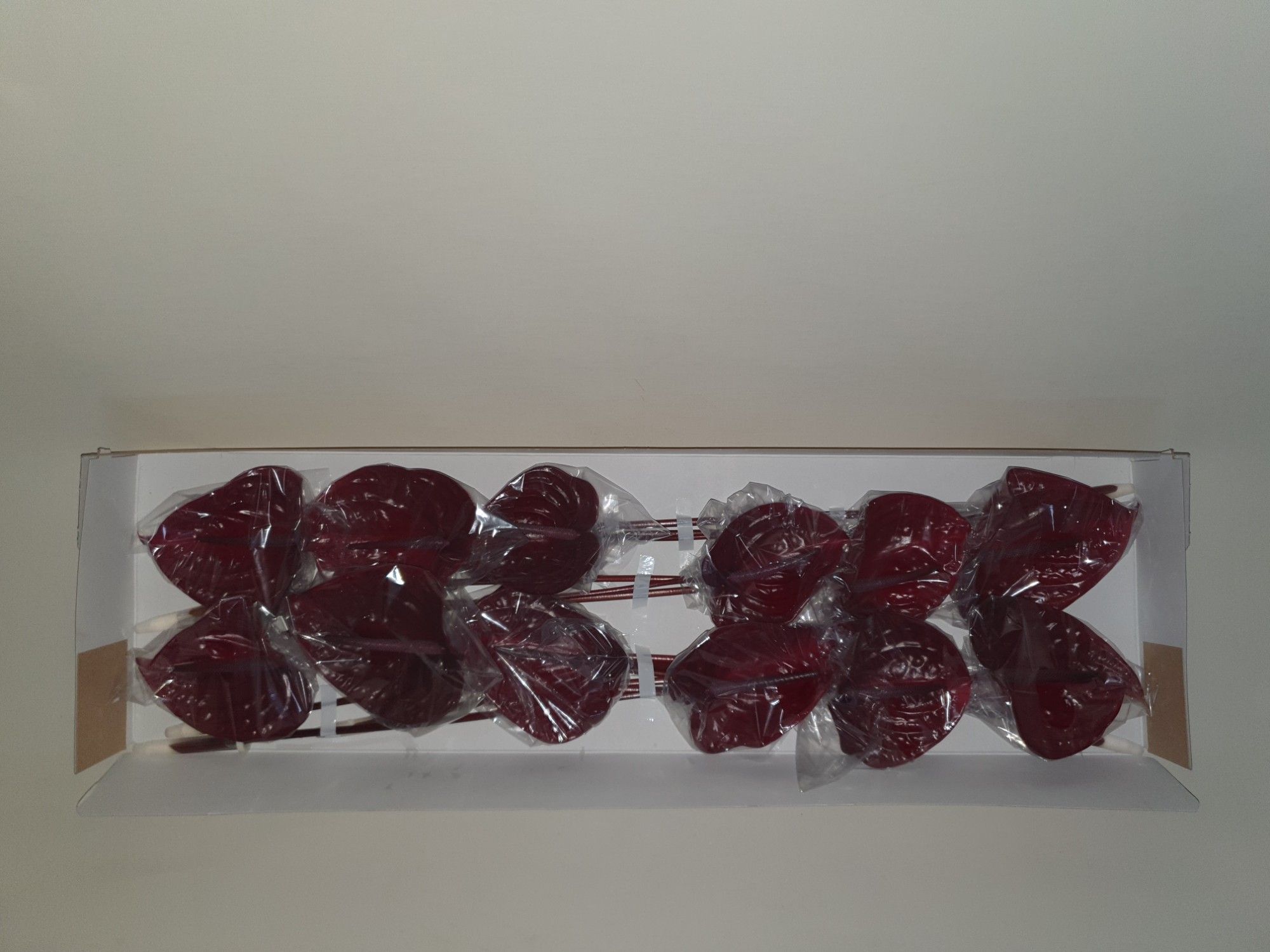 Антуриум Неро x12, шт.