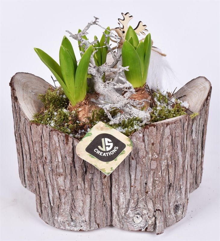 Hout boomschors rond 22cm, D 21 cm Hout boomschors rond 22cm, D 21 cm