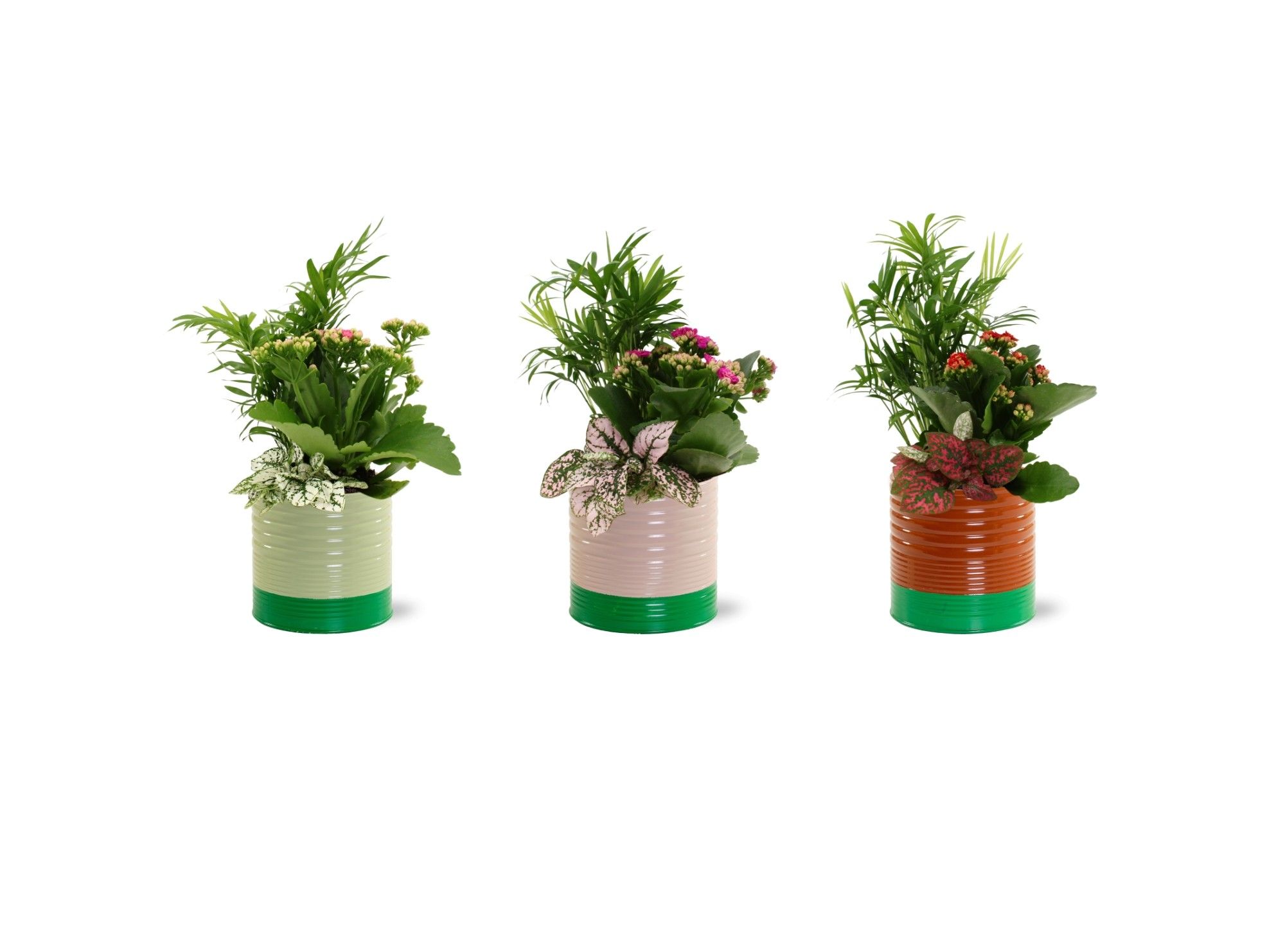 Collectie "Natural Bubble" Arrangement in Nola Zink, D 13