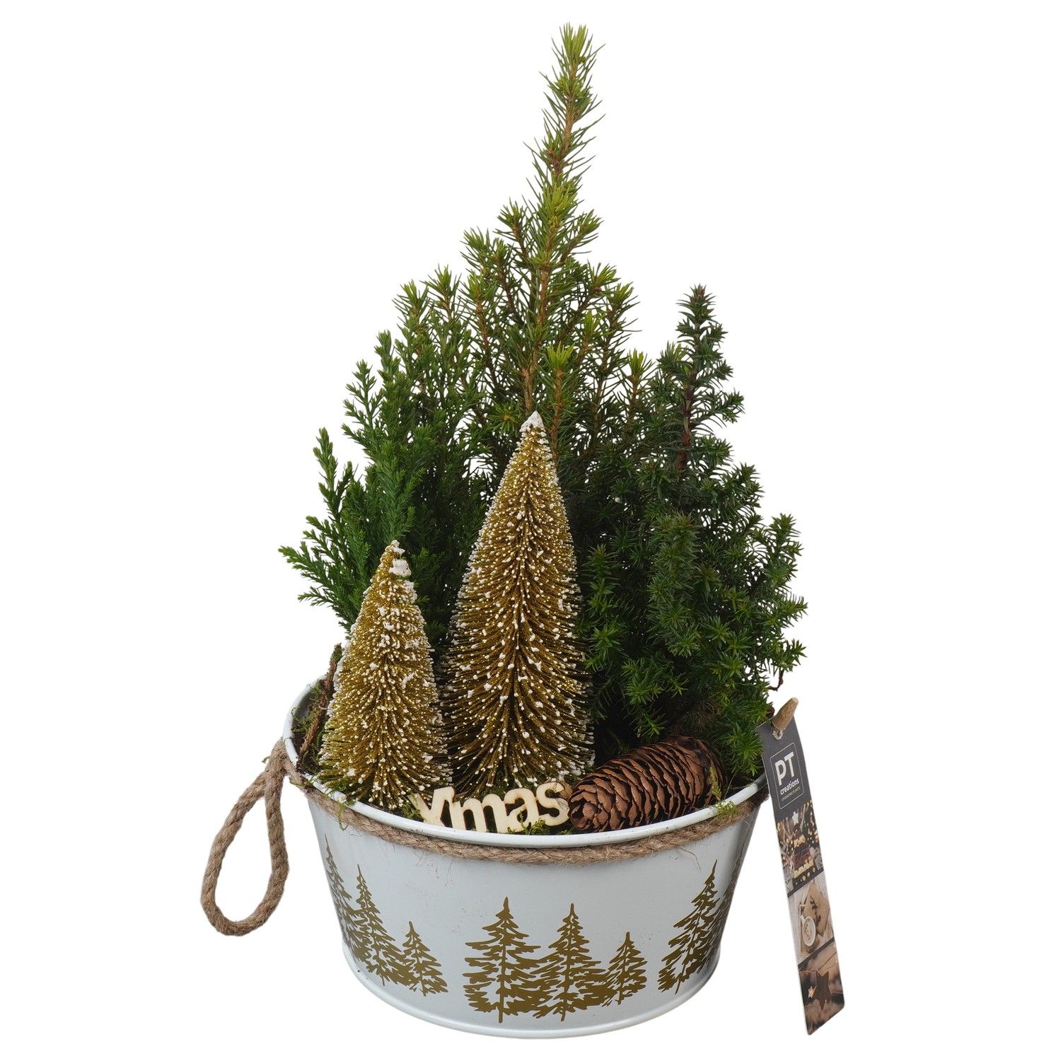 PTCWW6901 Arrangement Winter in metalen pot, D 18 cm