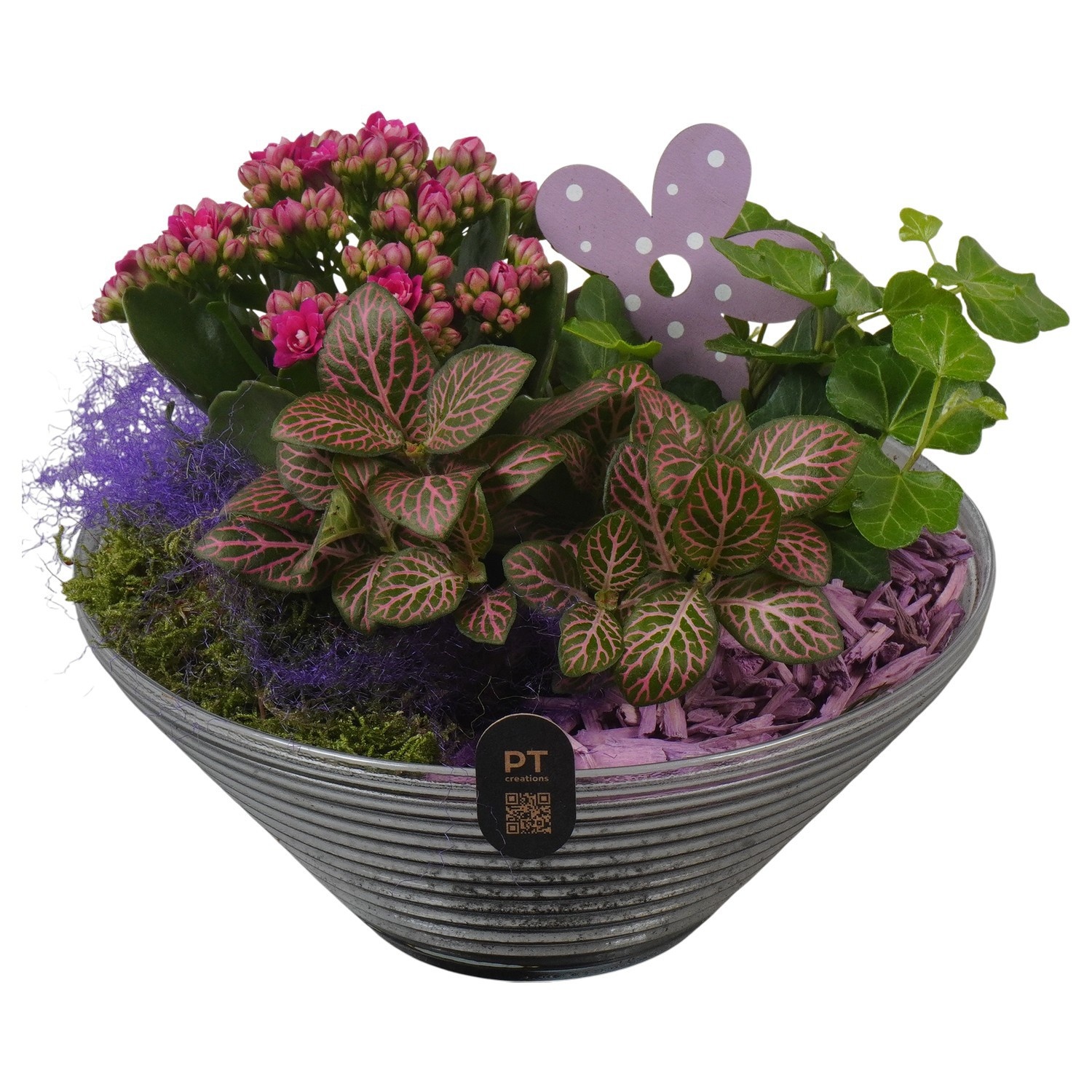 PTIG2657 Arrangement Indoor in glas schaal, D 19