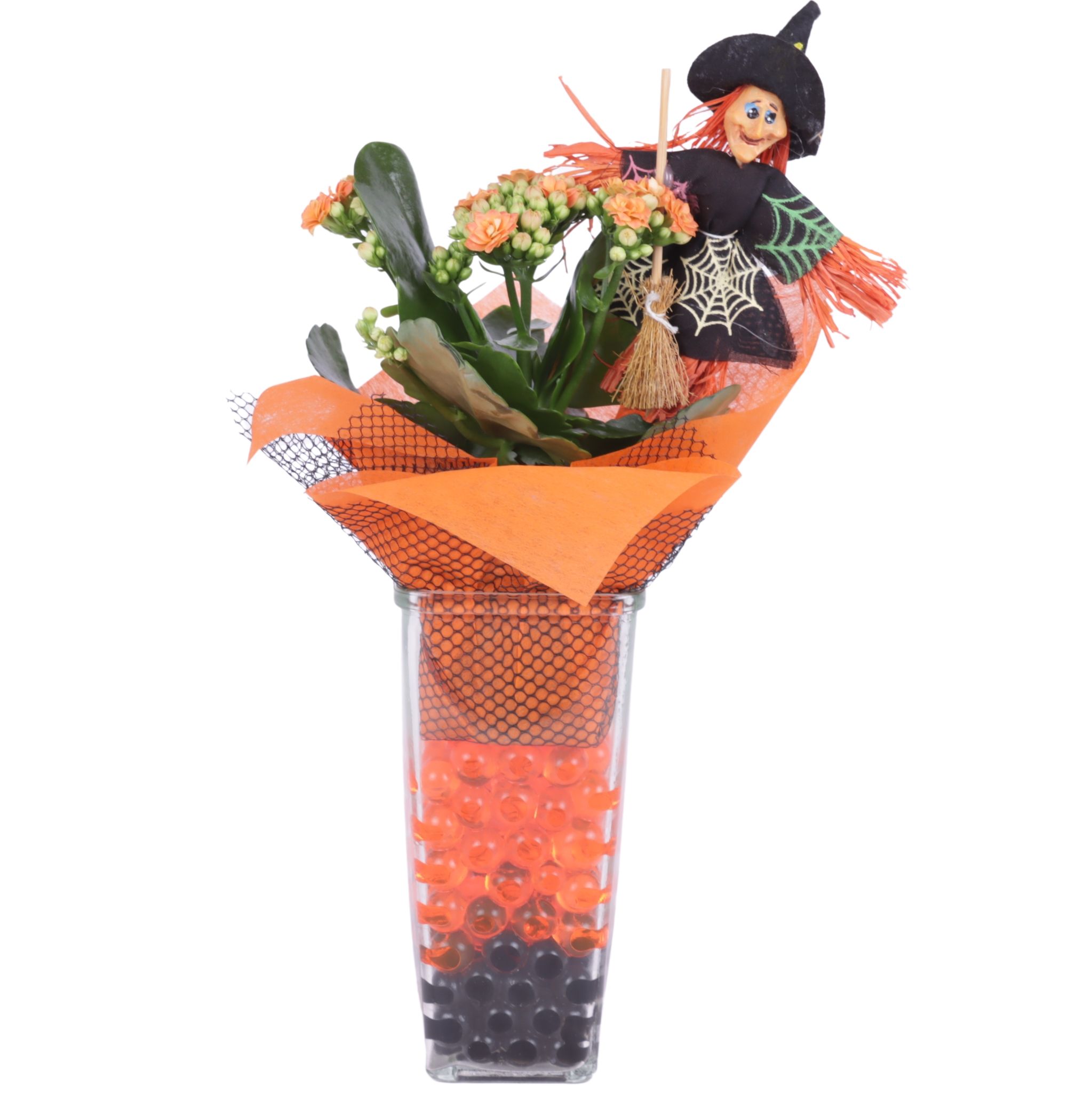 Halloween Arr. Indoor Glass Square Ø09cm 1PP, D 9 cm Halloween Arr. Indoor Glass Square Ø09cm 1PP, D 9 cm