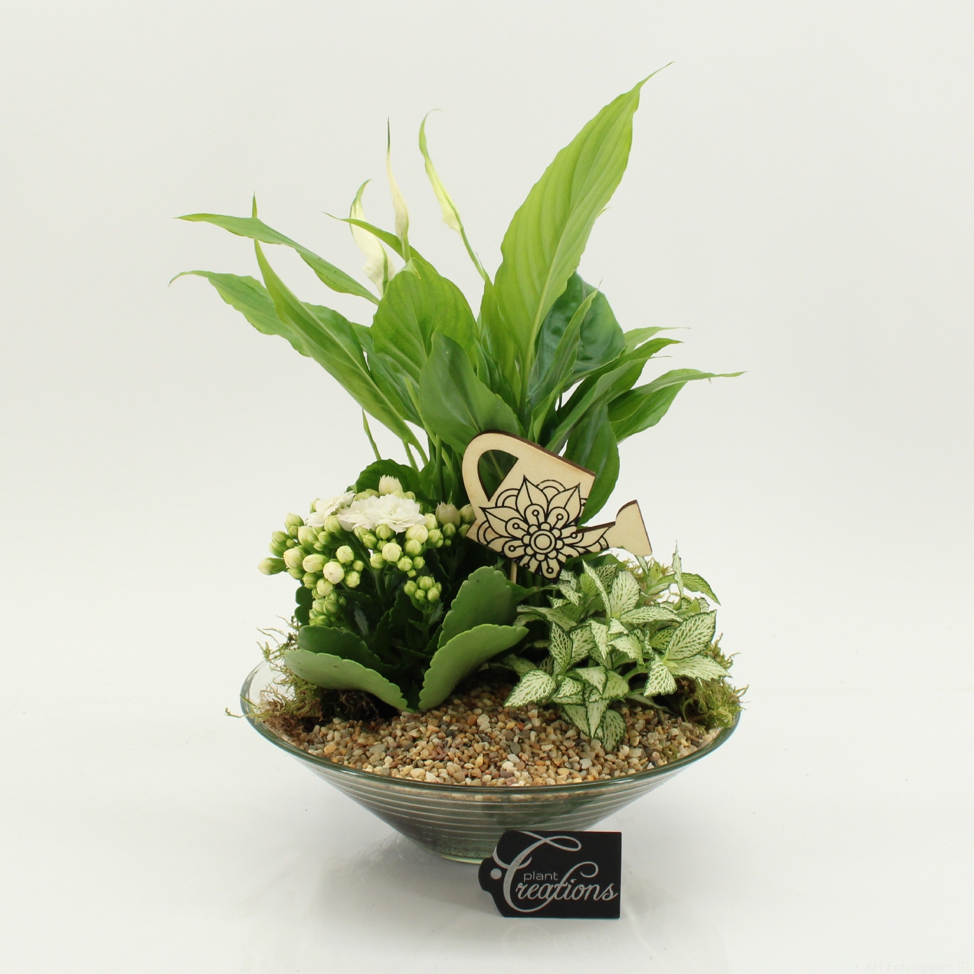 FDCR-2602W Basic Fundamentals, D 25