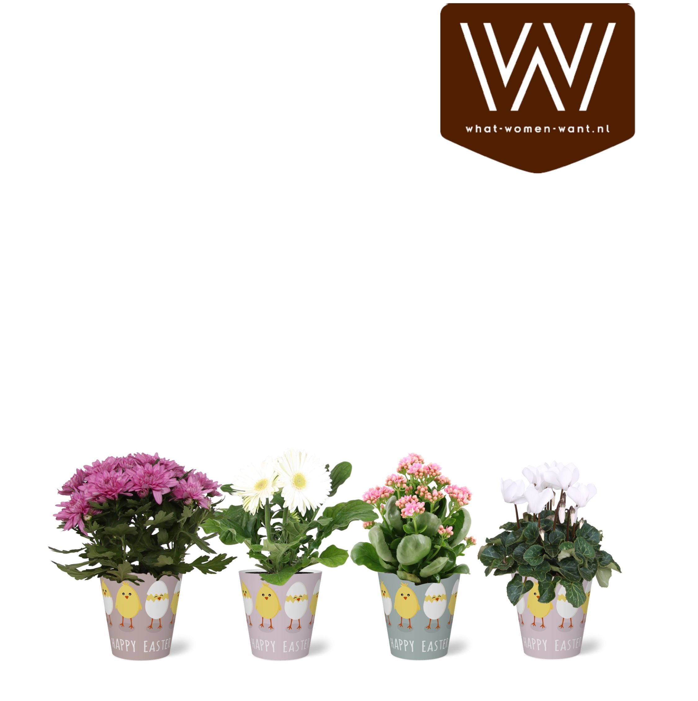 Bloeimix in Papercup Easter, D 12