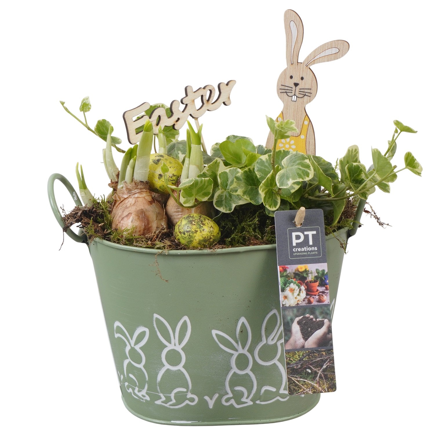 PTBMP5652 Arrangement Easter Bulbs Mix in zink pot, D 17