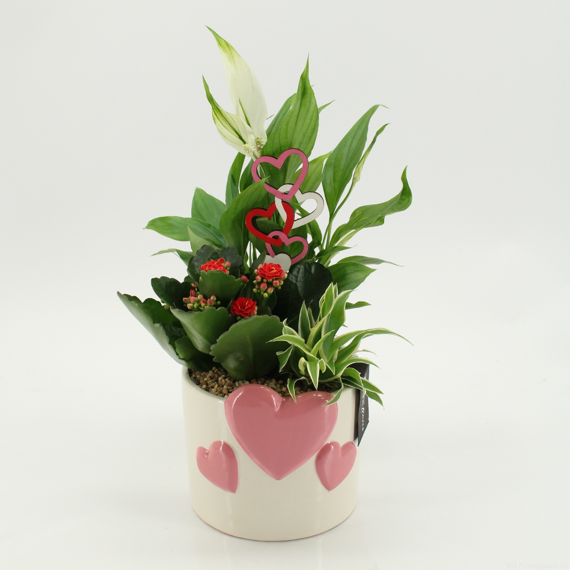 RMCR-2617R Romantic Essentials, D 14