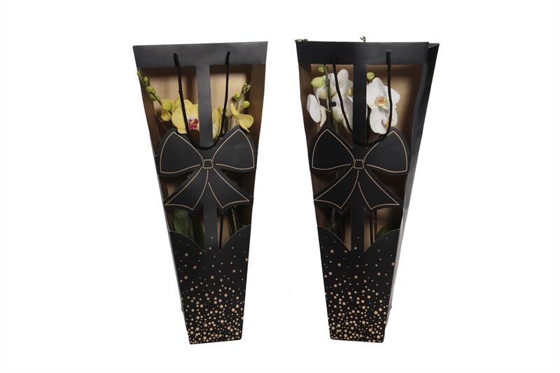 Showtas bow Phal mix 2T14+, D 12