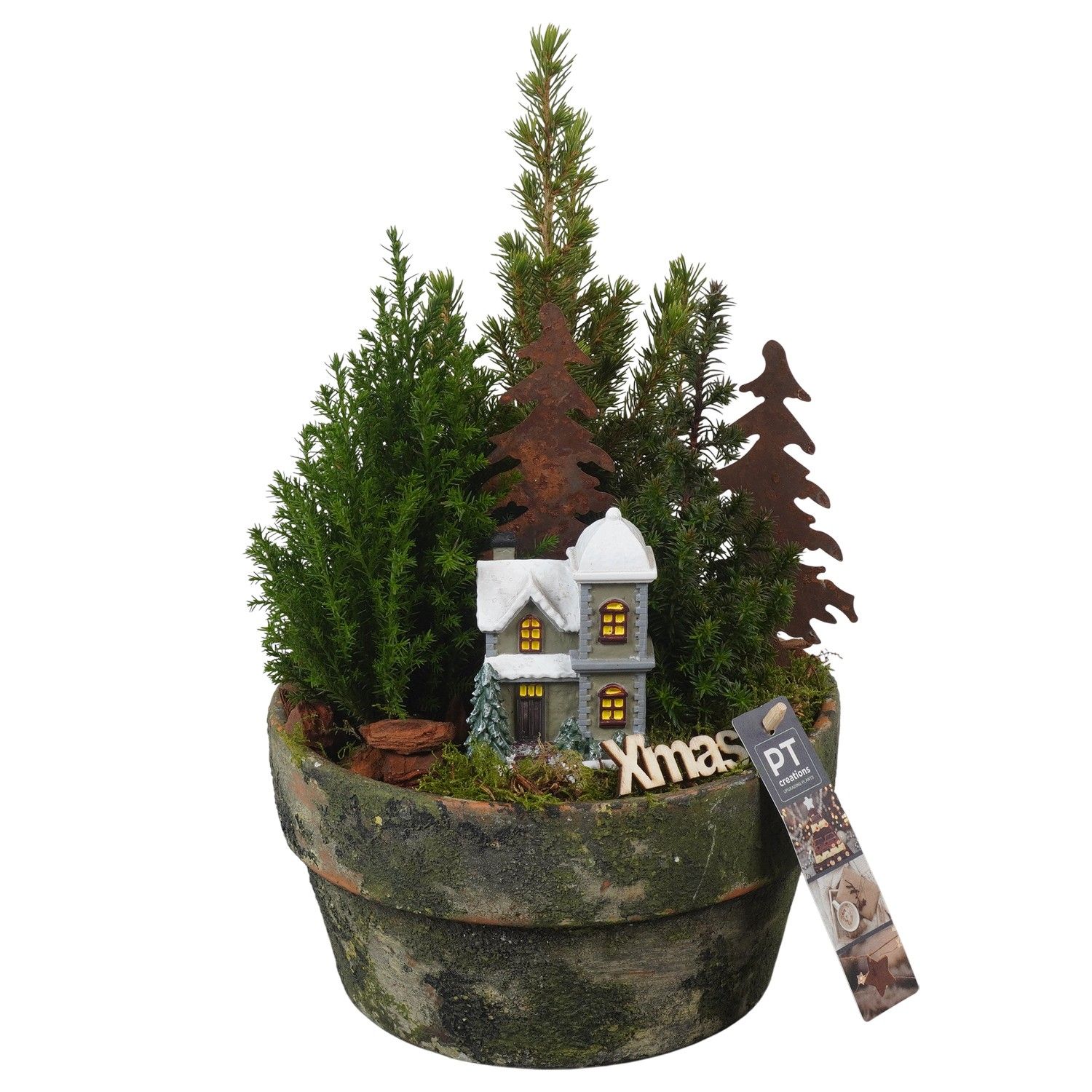 PTCWW6931 Arrangement Winter in terracotta schaal, D 21 cm