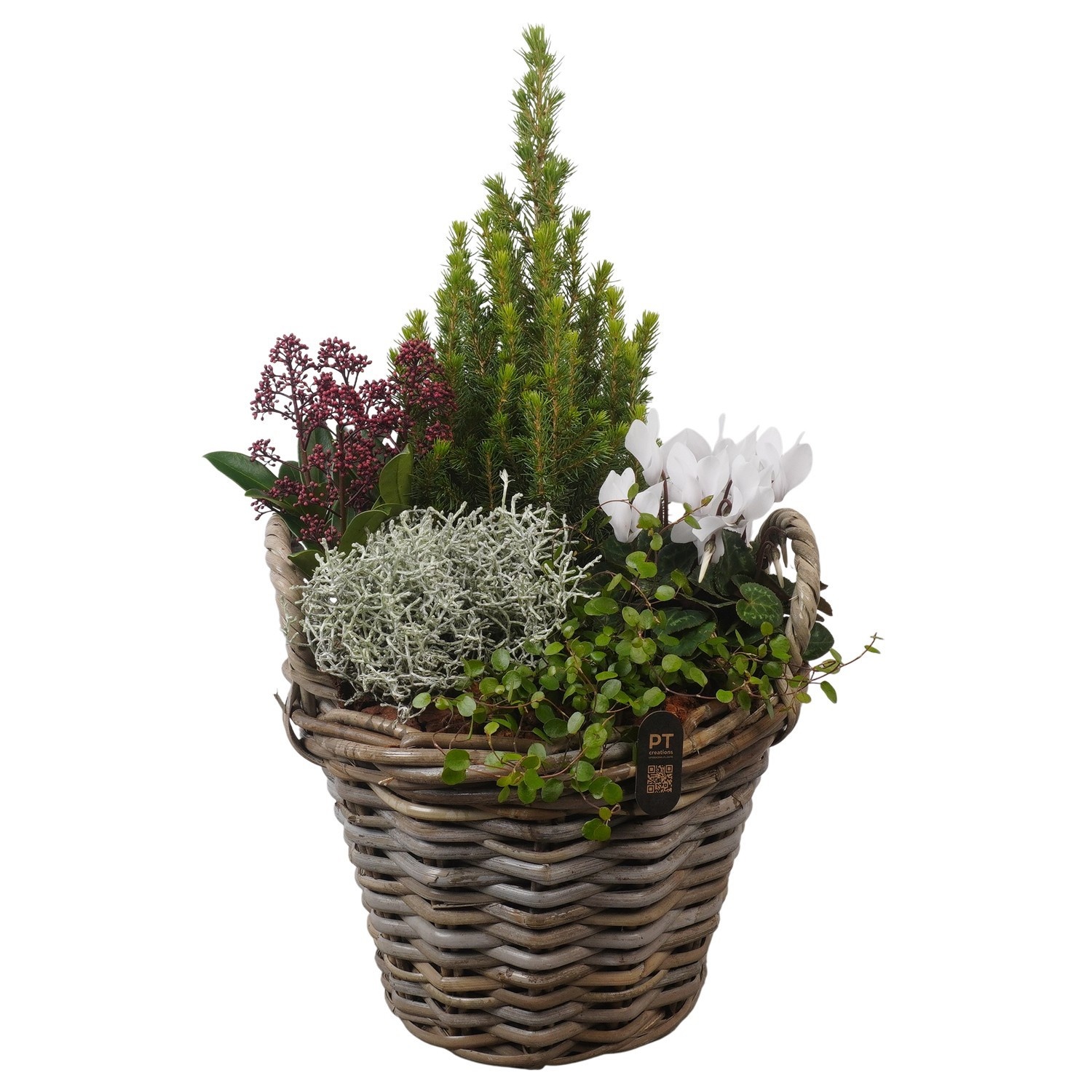 PTWO2845 Arrangement Winter Outdoor in rieten mand, D 28