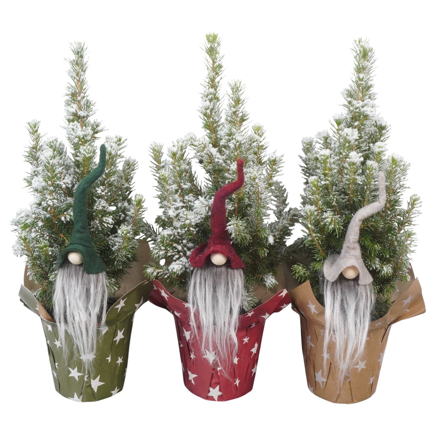 PTK26114 Conica Perfecta met sneeuw in papieren potcover met decoratie, D 9