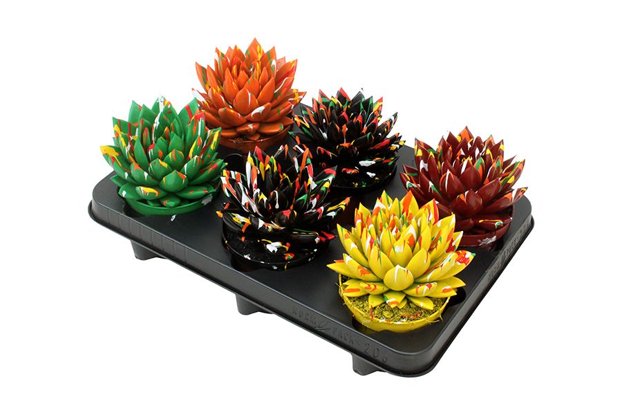 Miranda coloured Splash autumn mix, D 10,5 cm