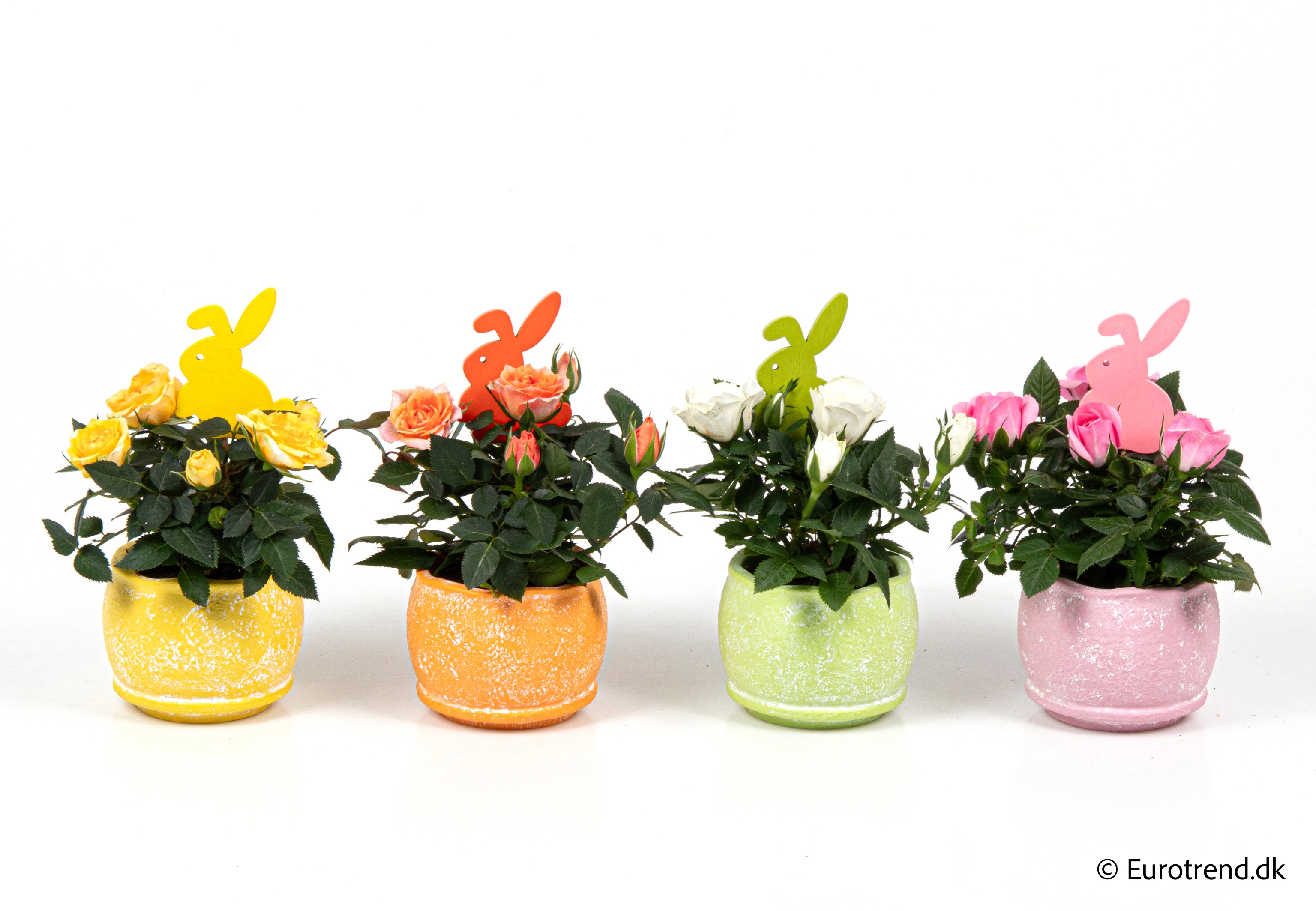 Roses in Easter ceramic 2026, D 6