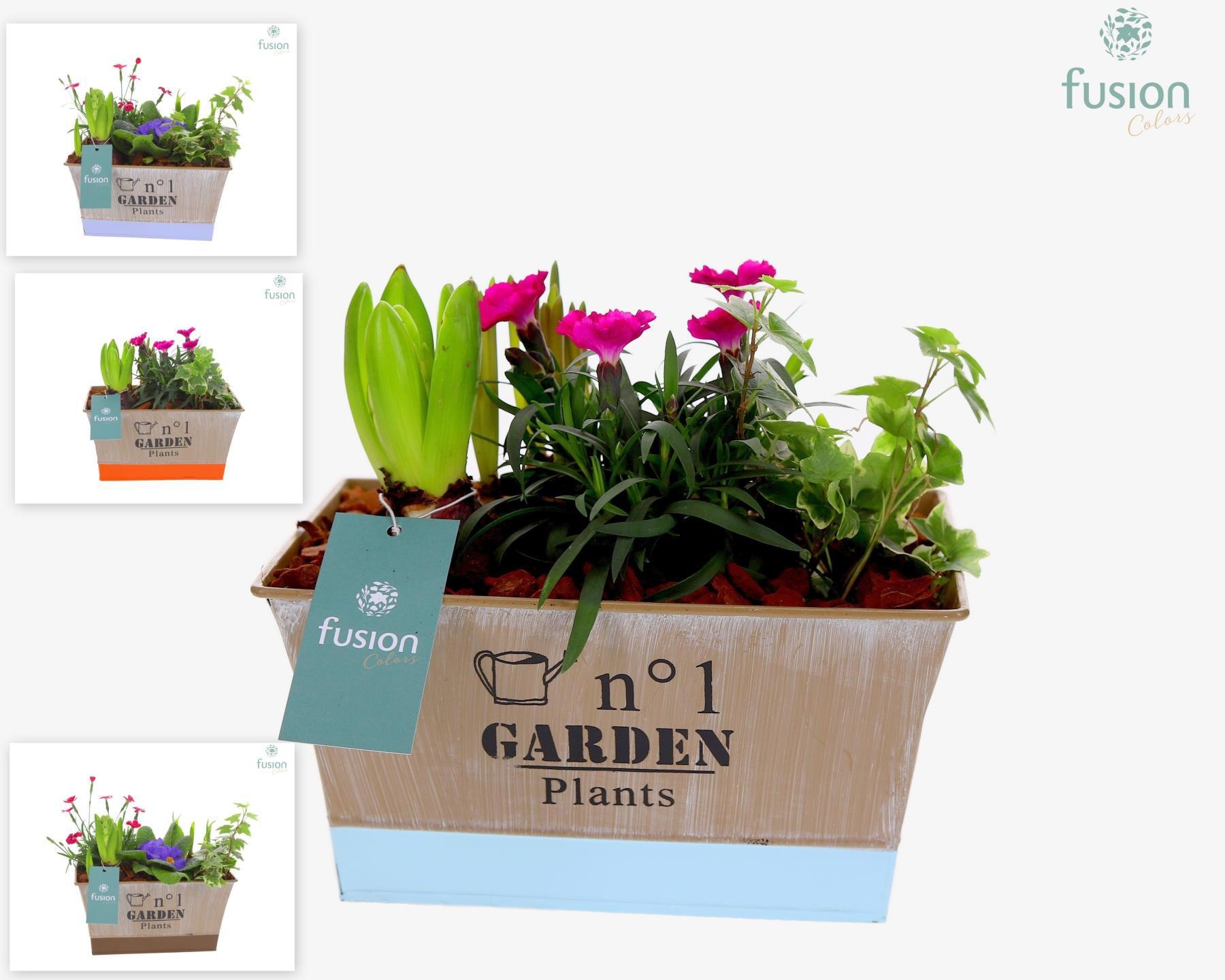 Pot zink rechthoekig met Arrangement, D 22