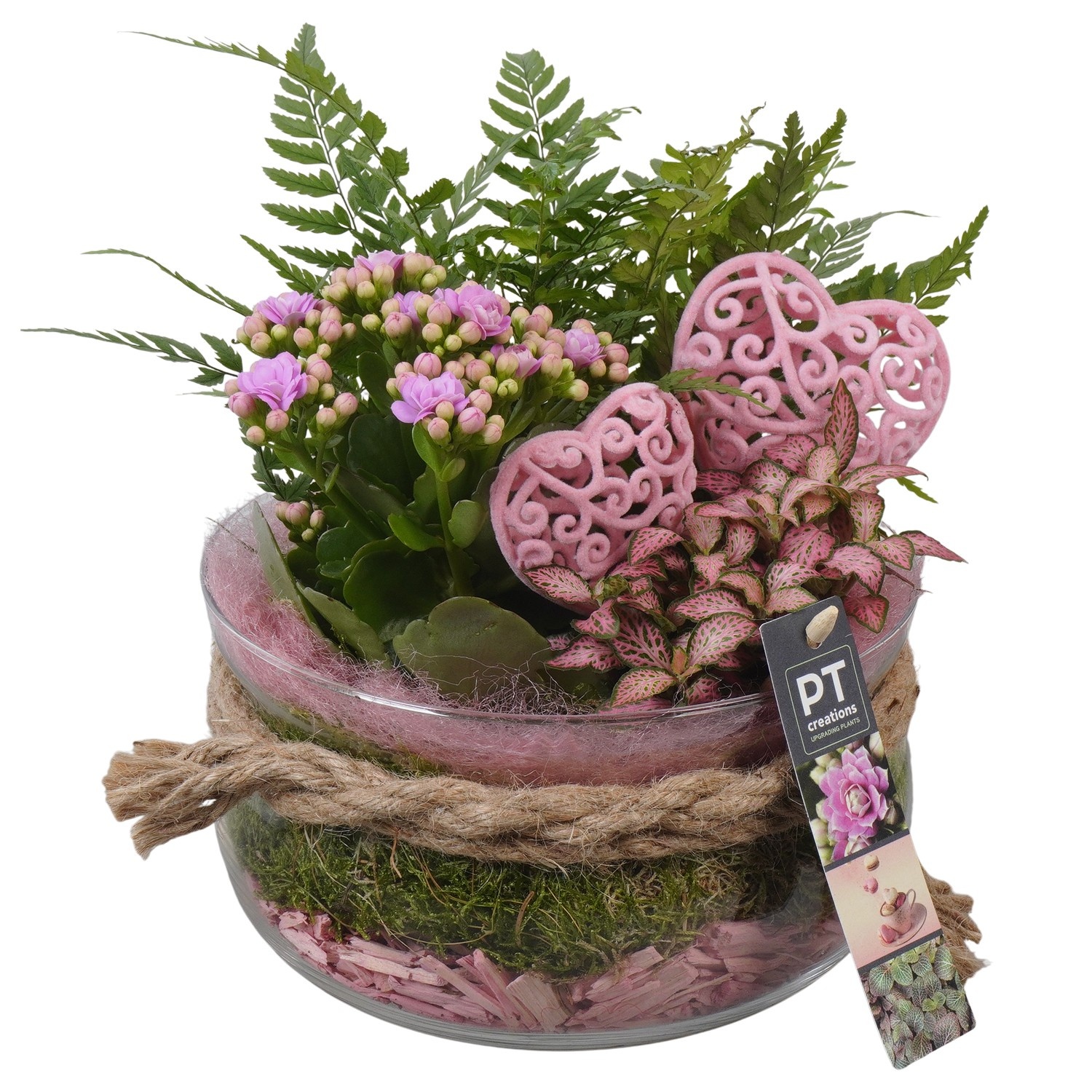 PTVMG4905 Arrangement Valentines-Mothersday in glas schaal, D 19