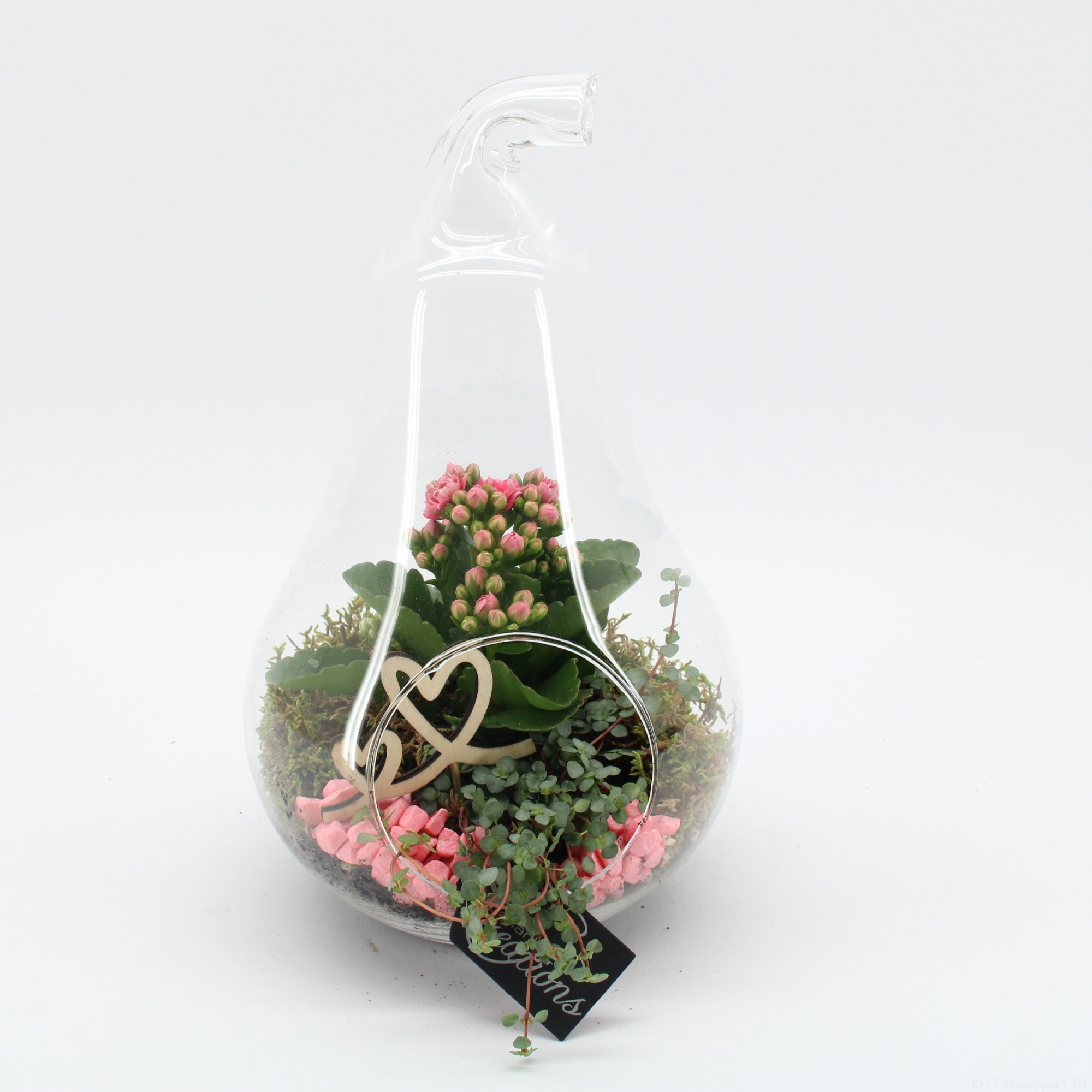 ENMD-2614 English Mother's day, D 18