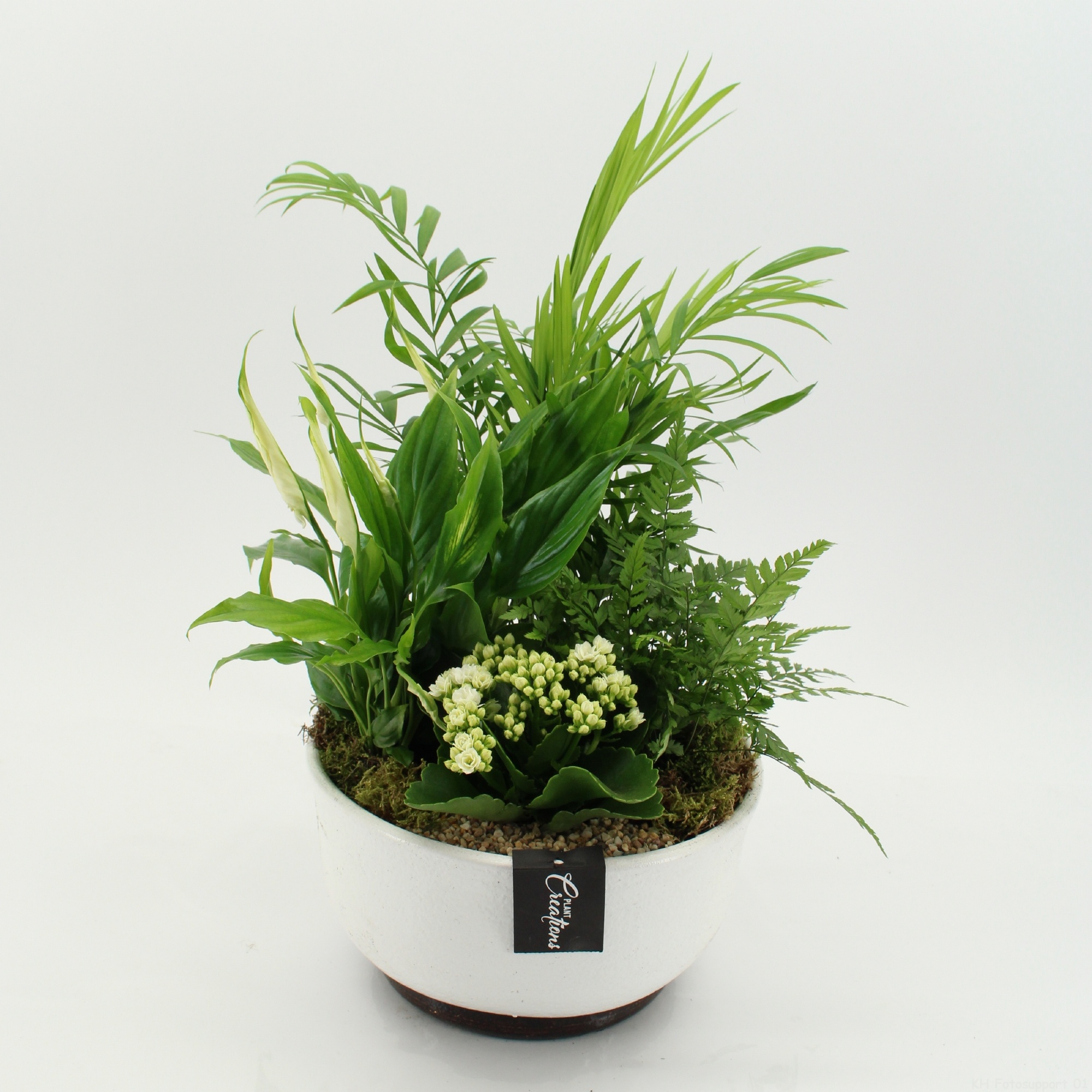 ESCR-2640W Essentials, D 22