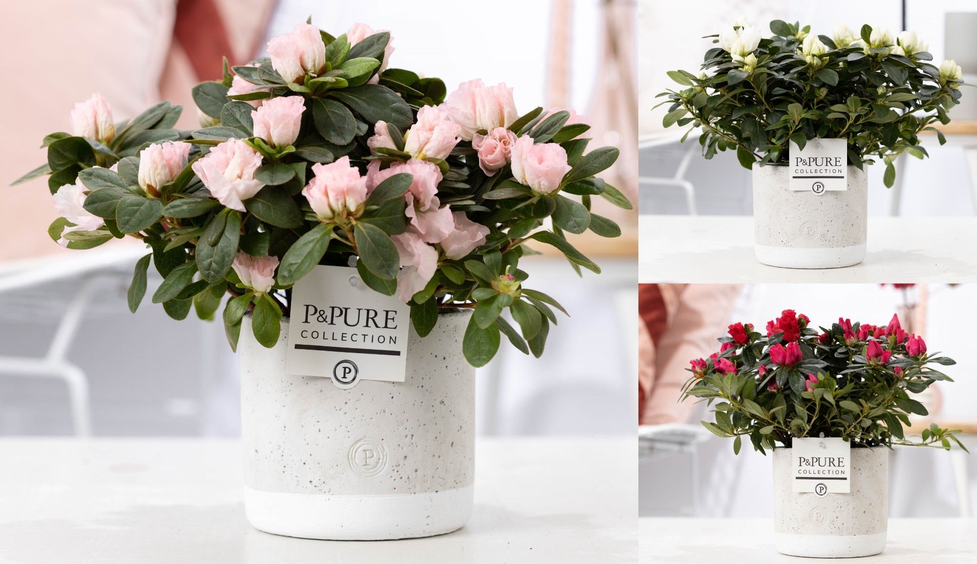 Azalea P&PURE Collection Jade keramiek, D 12 cm