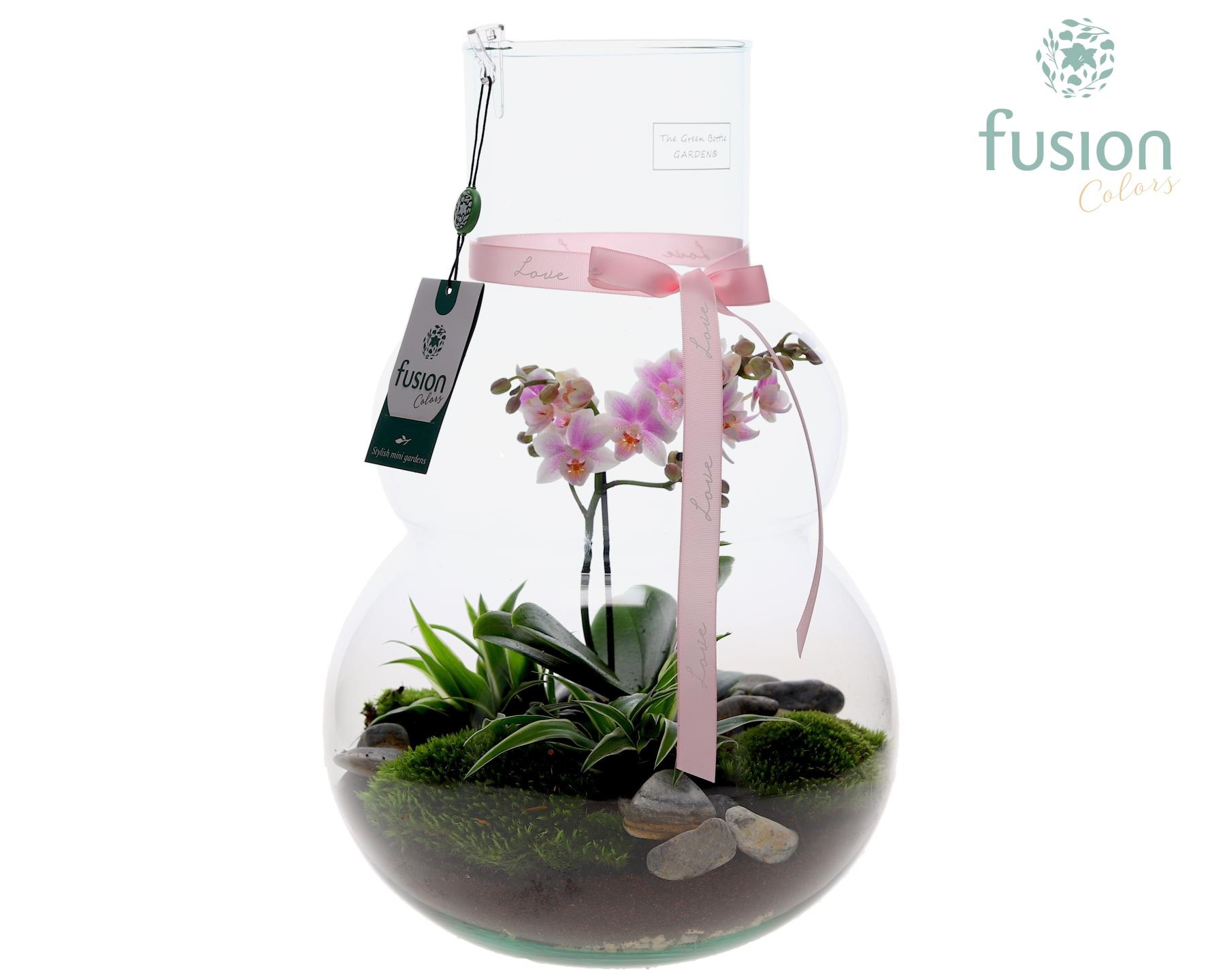 Green Bottle Olaf Large met Moederdag arrangement, D 26