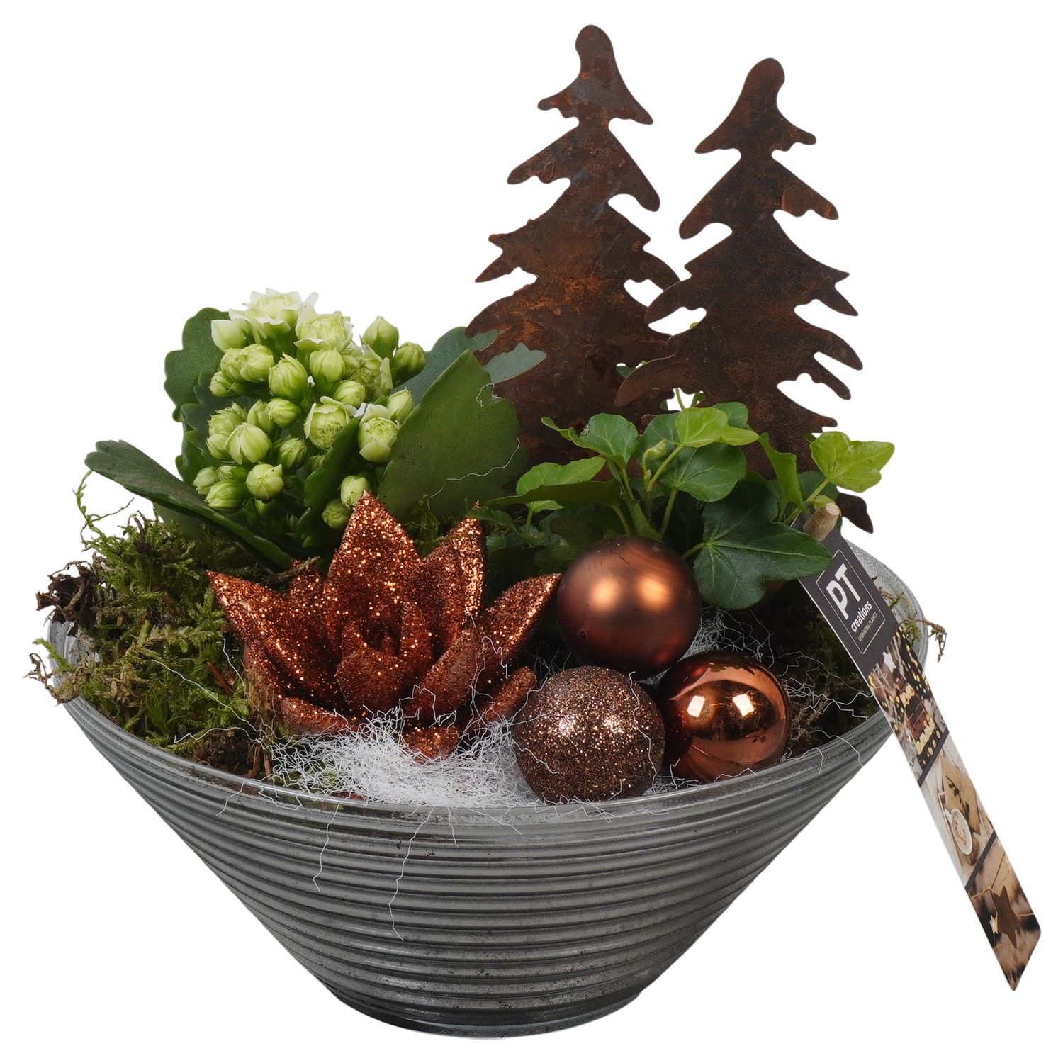 PTCHB9829 Arrangement Christmas Bronze in glas schaal, D 19 cm