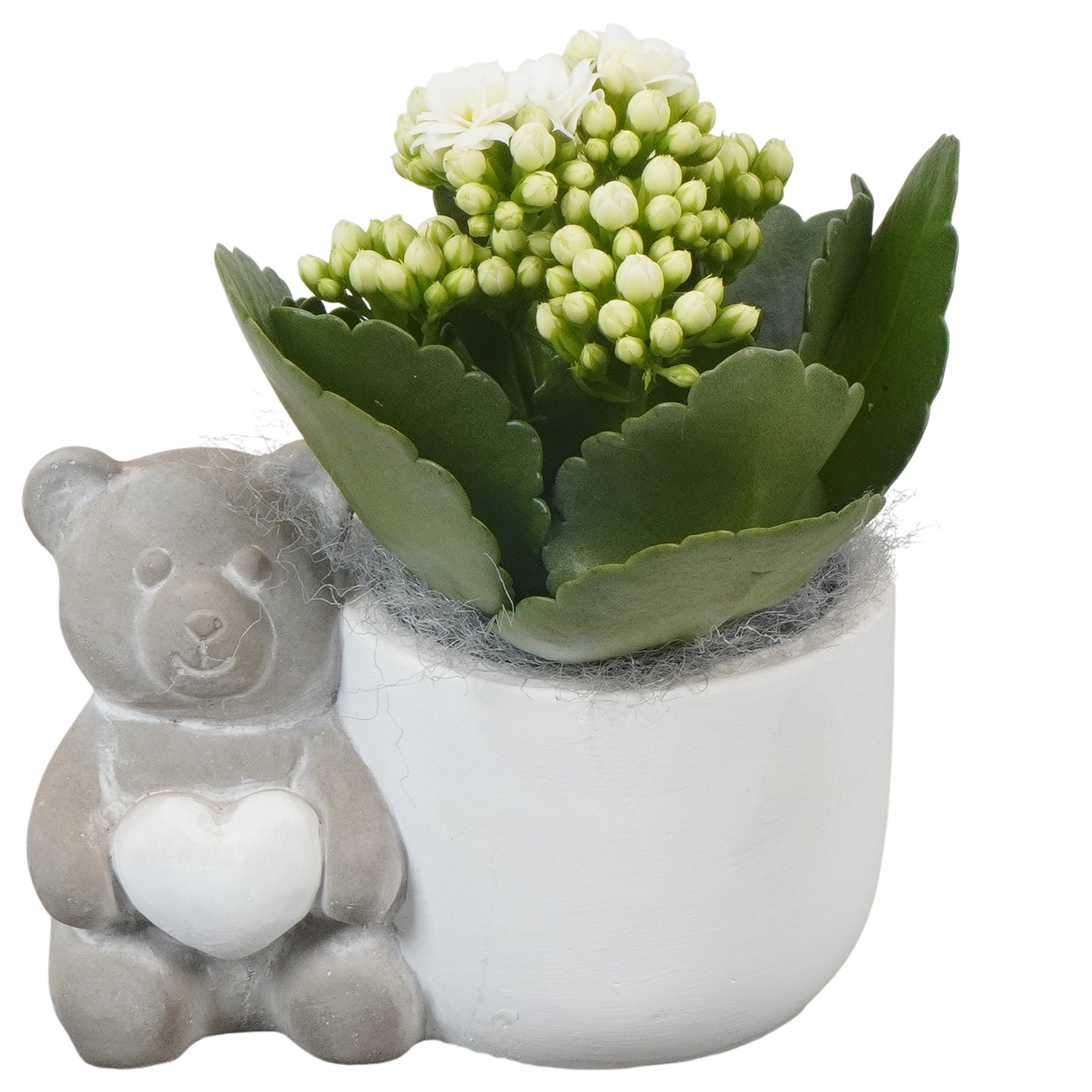PTVMB2277 Arrangement Valentines-Mothersday in beton sierpot, D 12