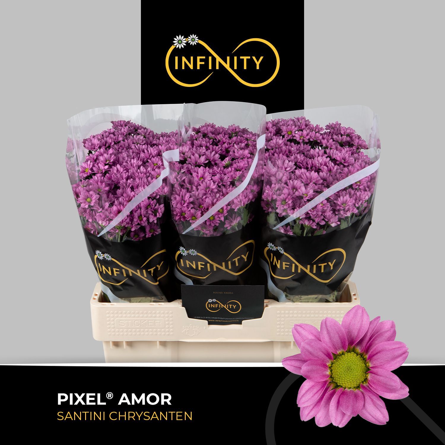 Сантини Пиксель Амор, шт.