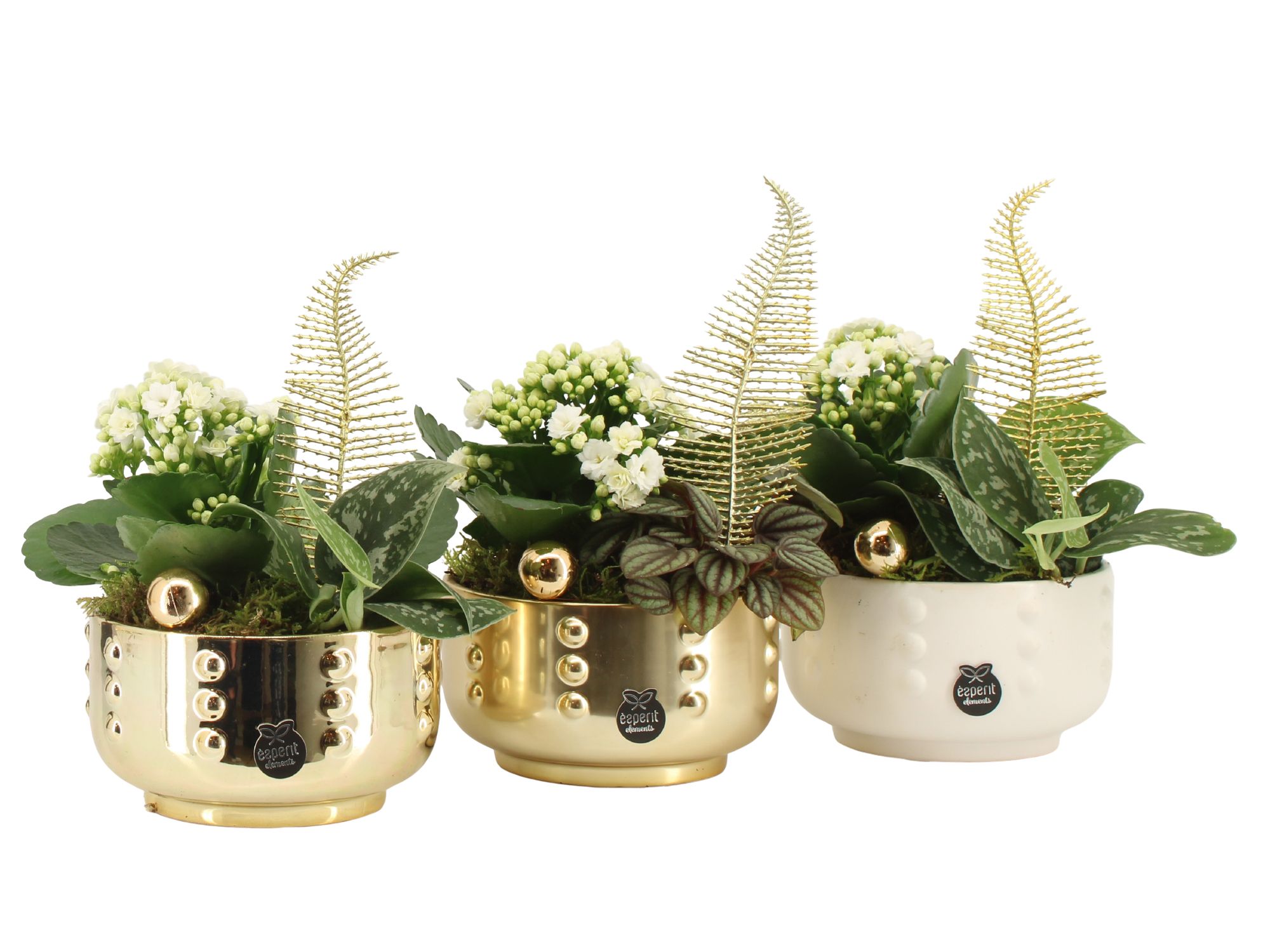 61865: X-mas arrangement, D 14