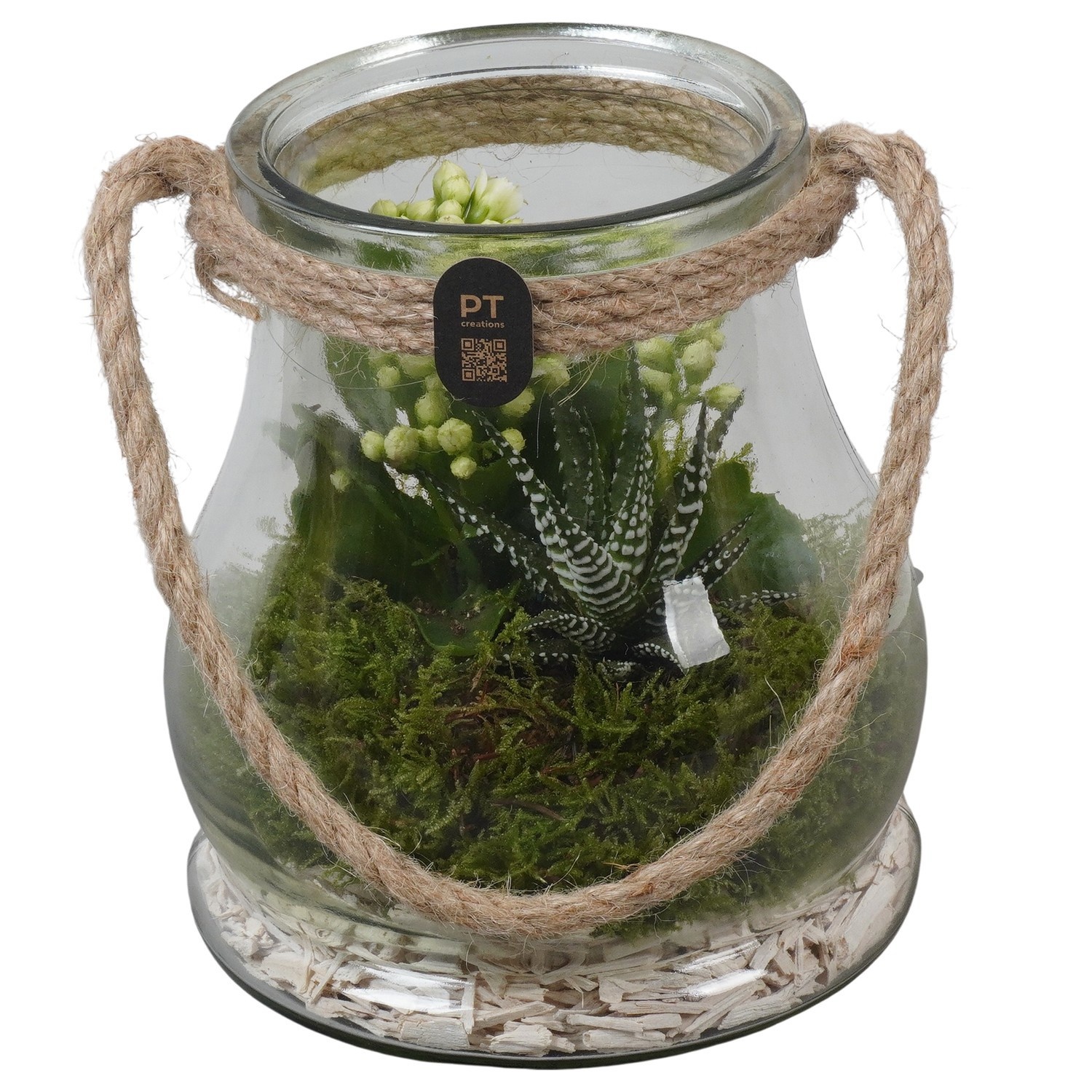 PTIG2696 Arrangement Indoor in glazen vaas, D 16