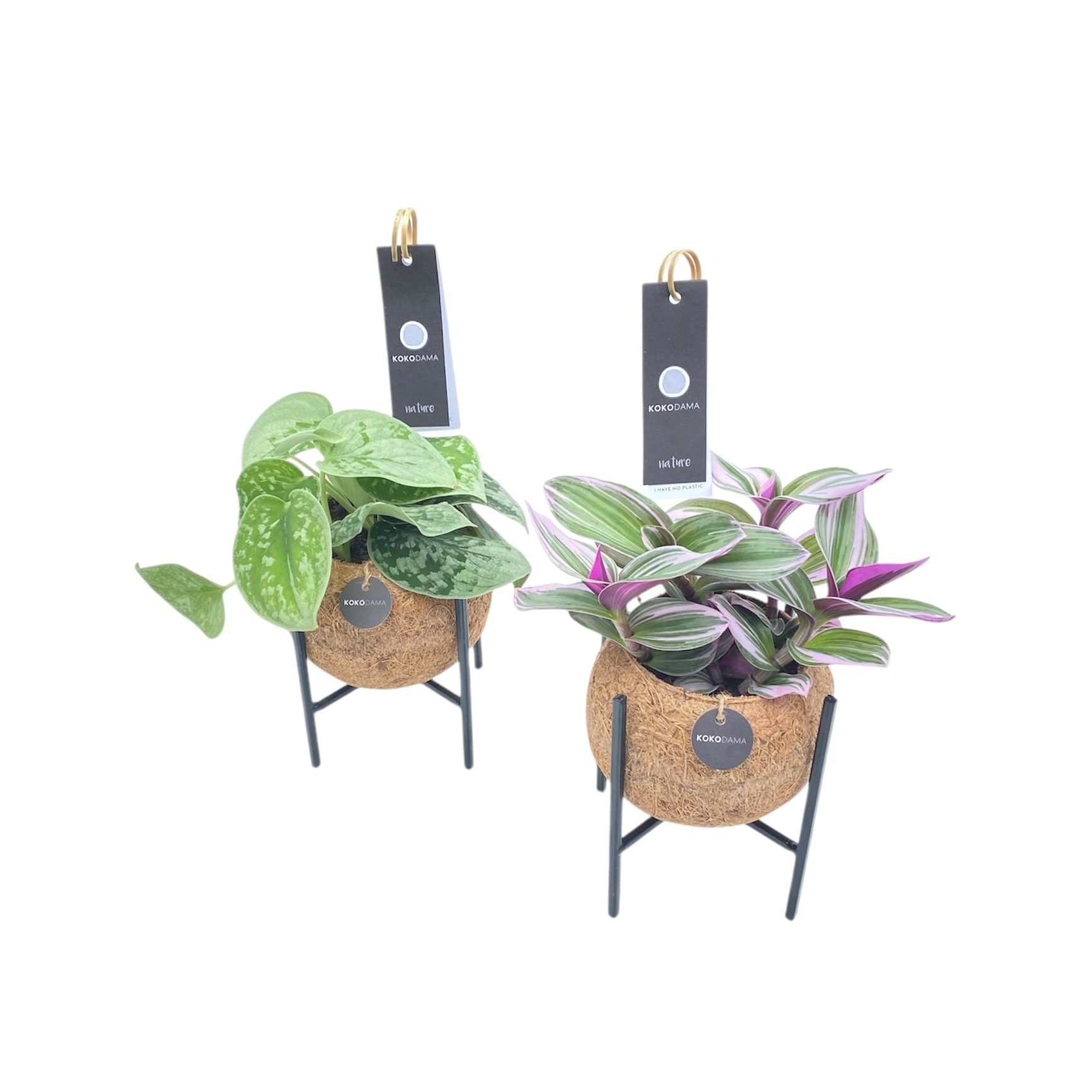 Kokodama 12 cm Industrial Green mix, D 12